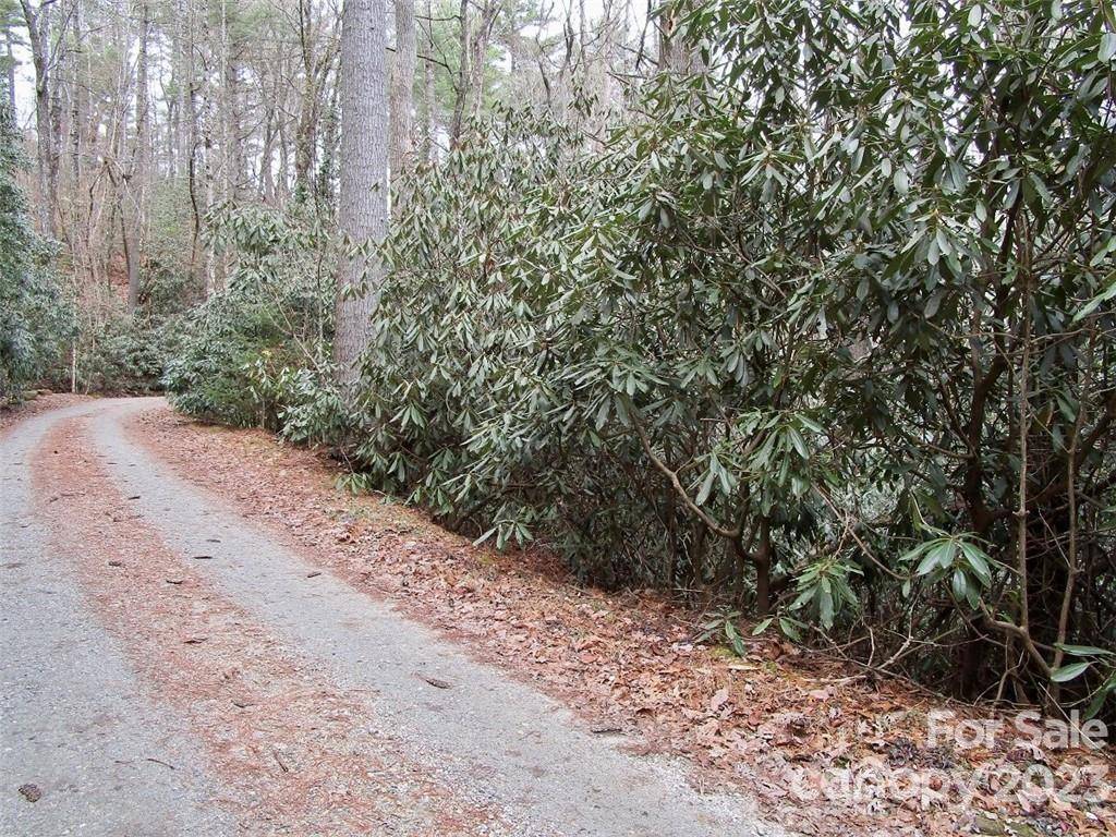 Lake Toxaway, NC 28747,Lot #21 Toxaway Falls DR