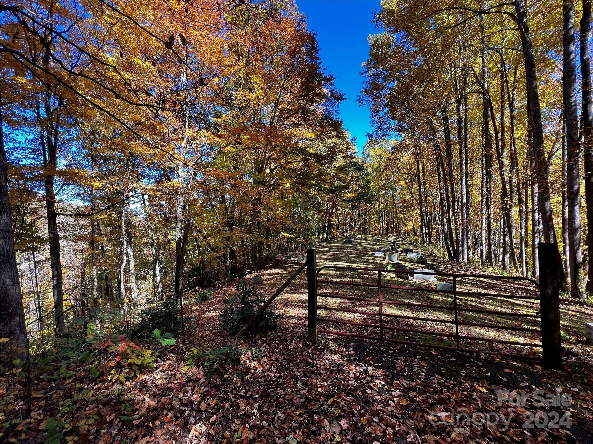 Waynesville, NC 28785,0000 Hemphill RD