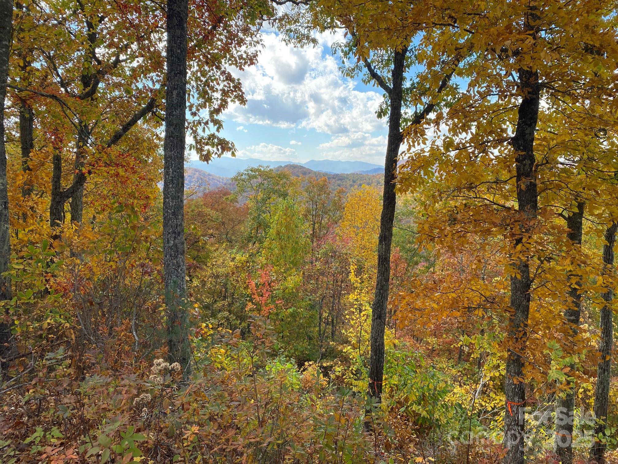 Sylva, NC 28779,0 Hickory Nut TRL #62