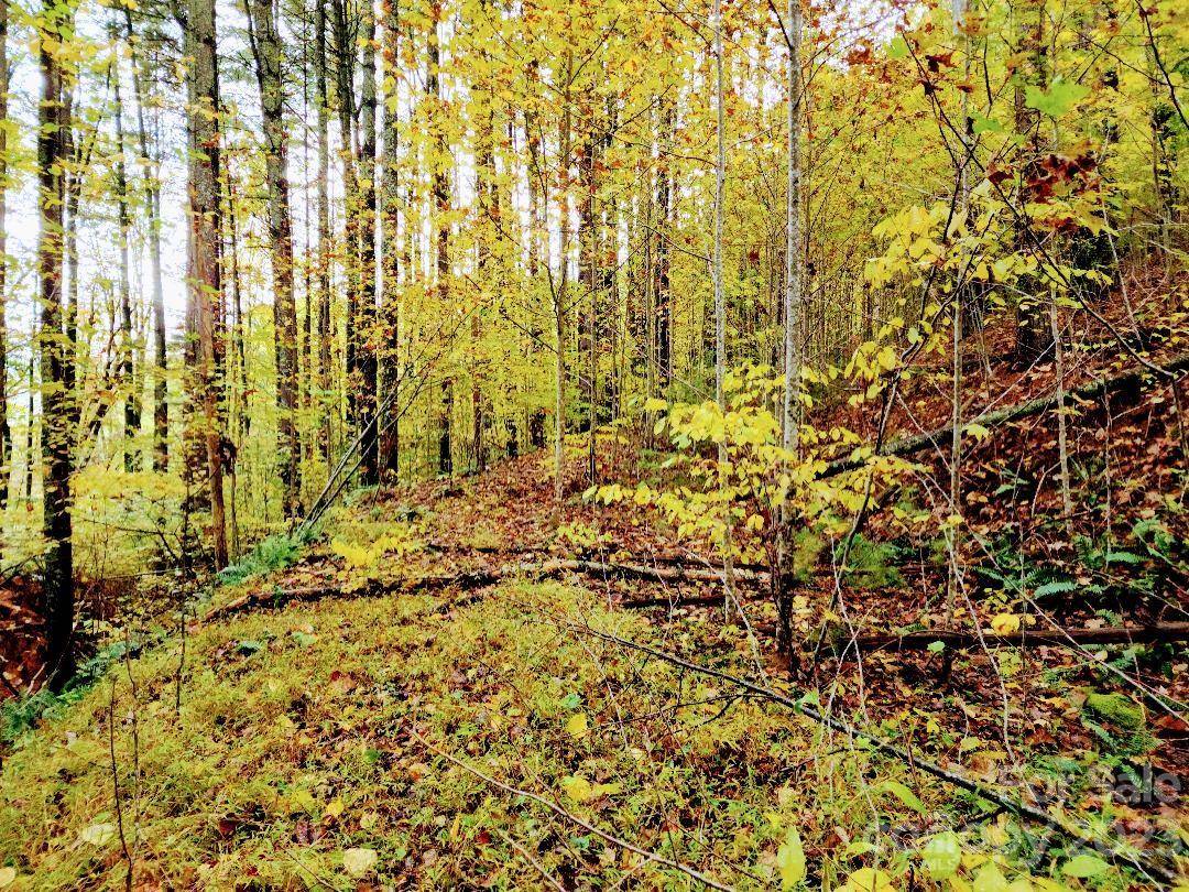 Burnsville, NC 28714,00 Thorncrest DR #23