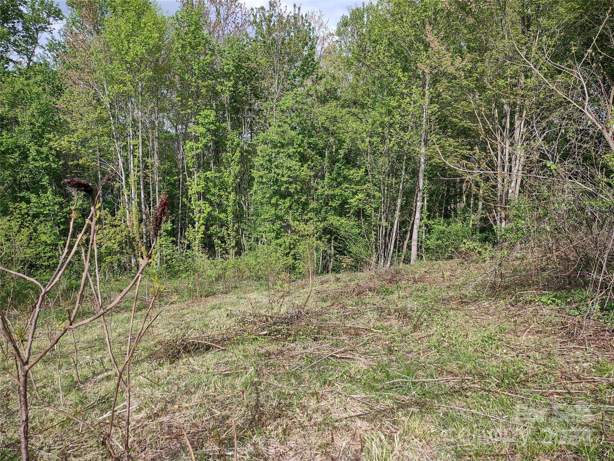 Waynesville, NC 28785,000 Morning Mist LN #Lot 13