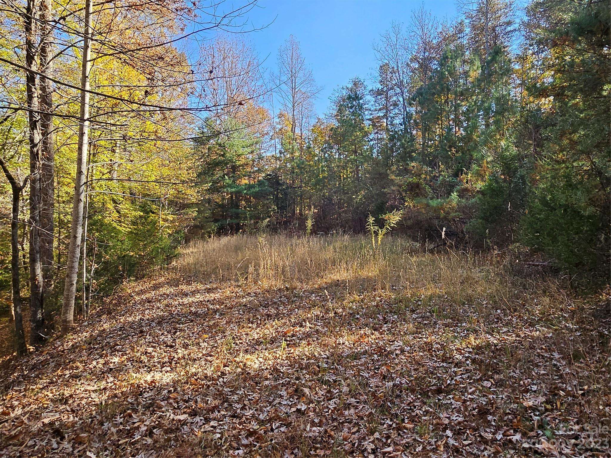 Rutherfordton, NC 28139,125 Big Cedar DR #SEPTIC INSTALLED