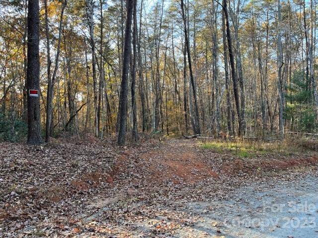 Mill Spring, NC 28756,TBD Shady LN