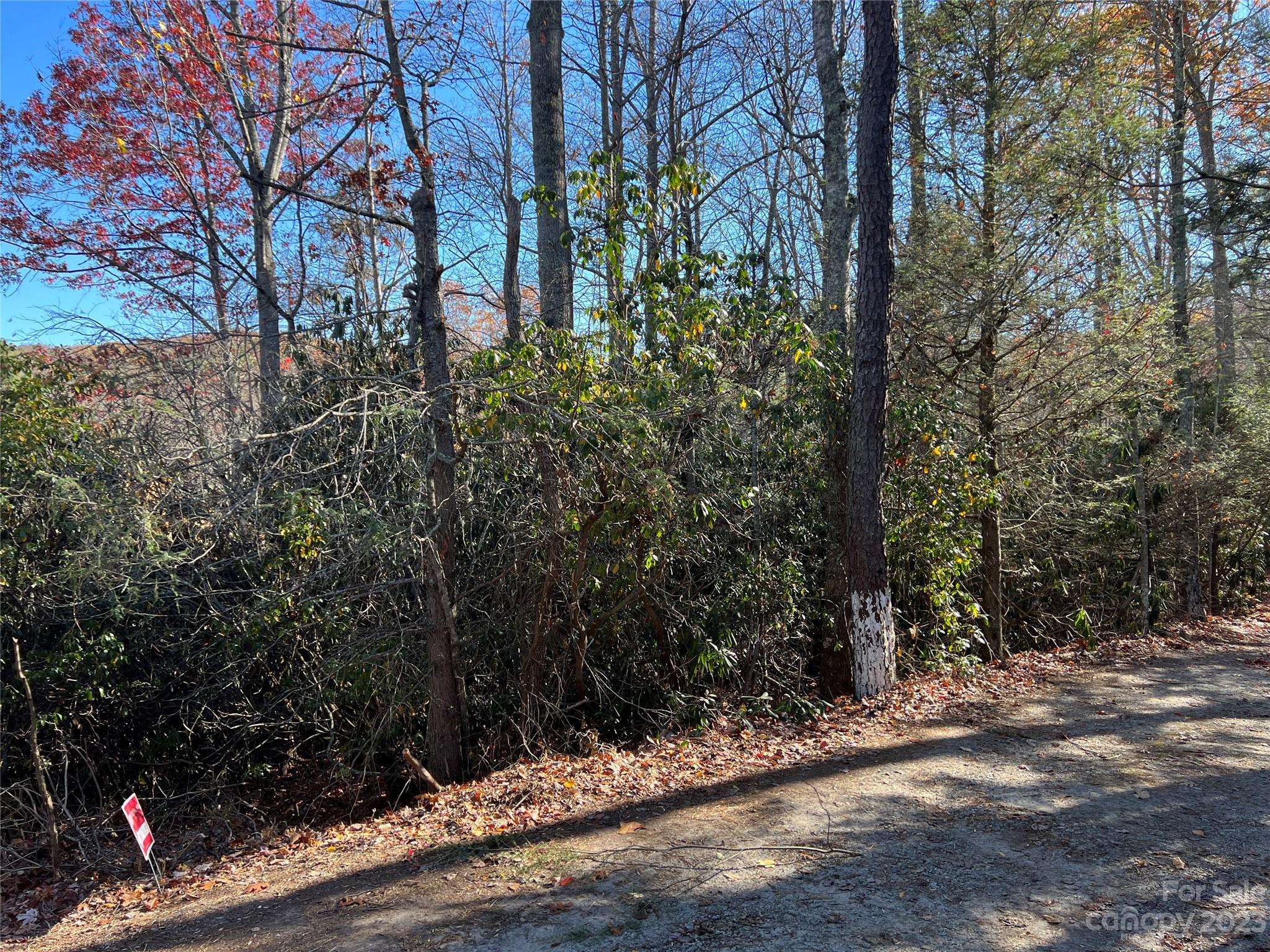 Fletcher, NC 28732,999999 Conifer CT