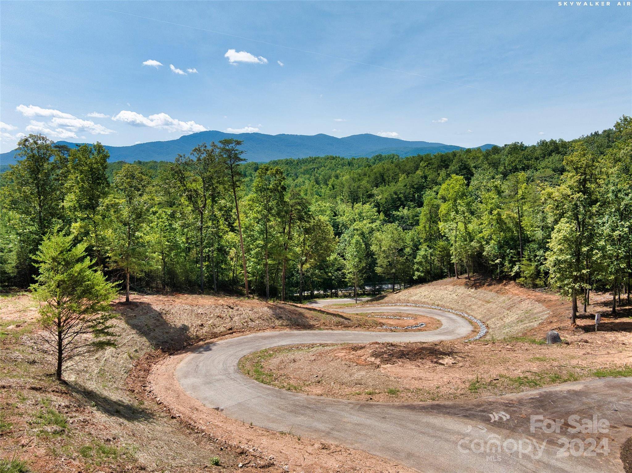 Mill Spring, NC 28756,LOT 2 Ridgeland WAY