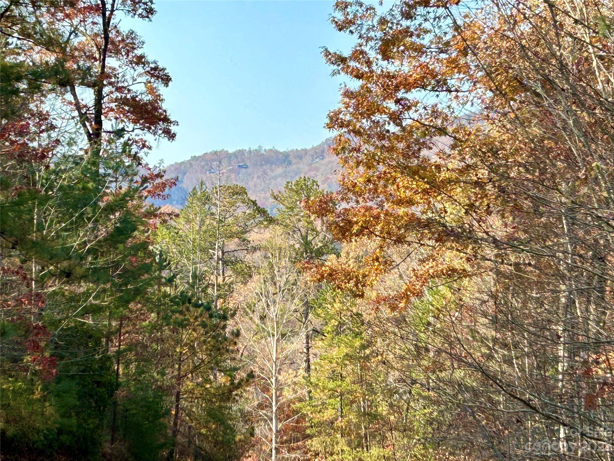 Bryson City, NC 28713,0 Clearwater CV