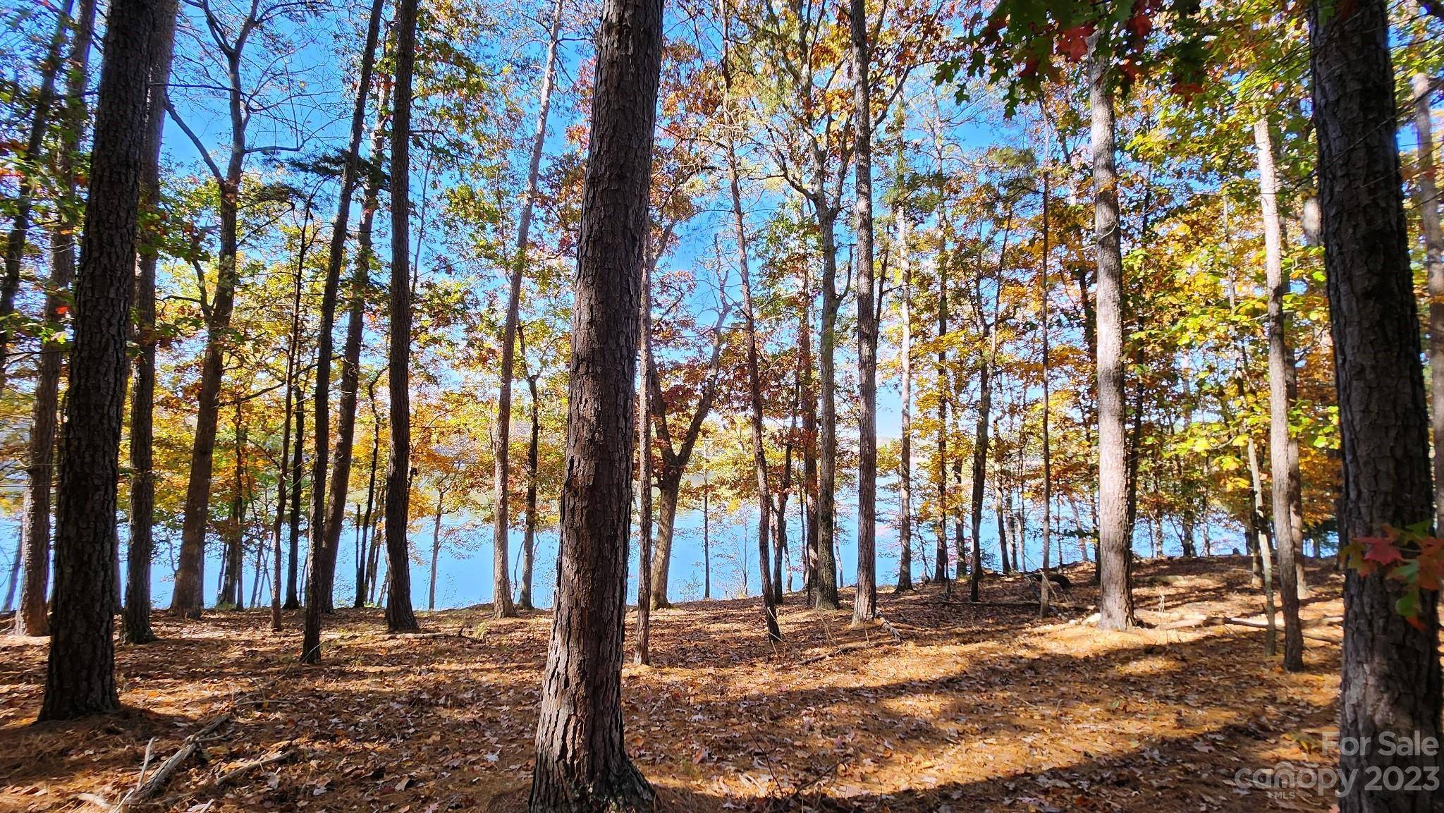 Granite Falls, NC 28630,129 Deep River CT #55
