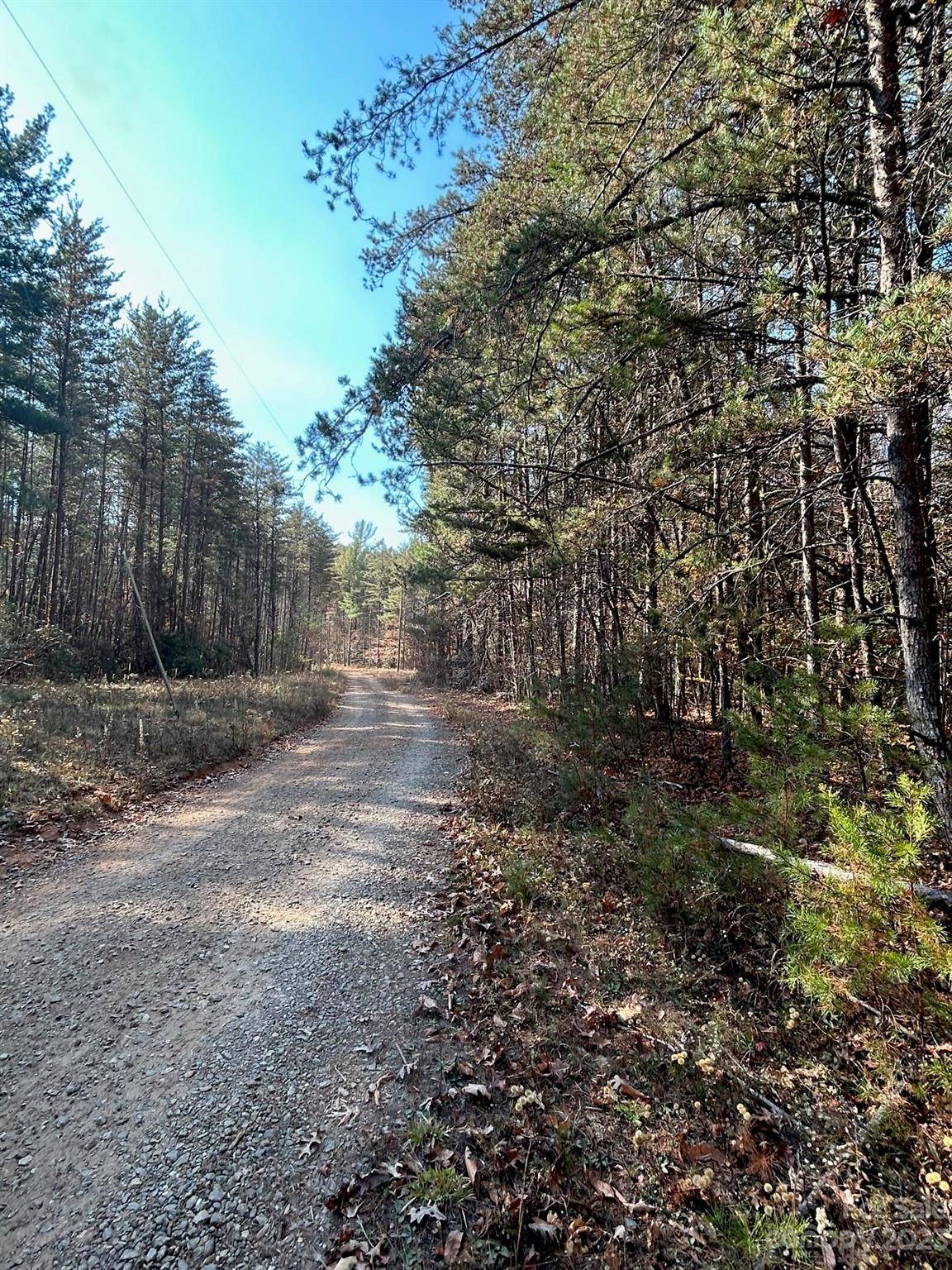 Boomer, NC 28606,1.66 Acres Bear Tail CIR