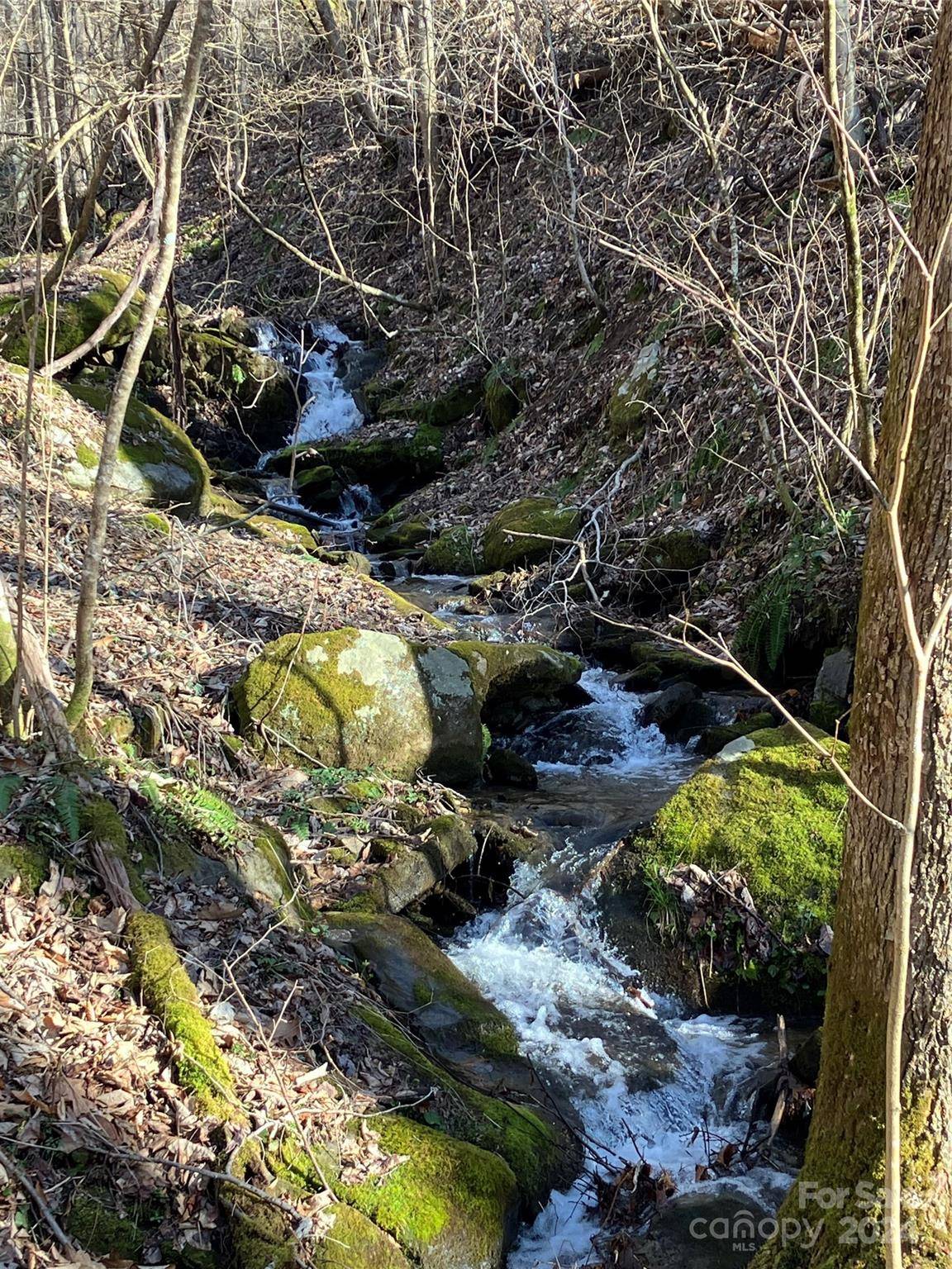 Barnardsville, NC 28709,999 Gavin Glen RD