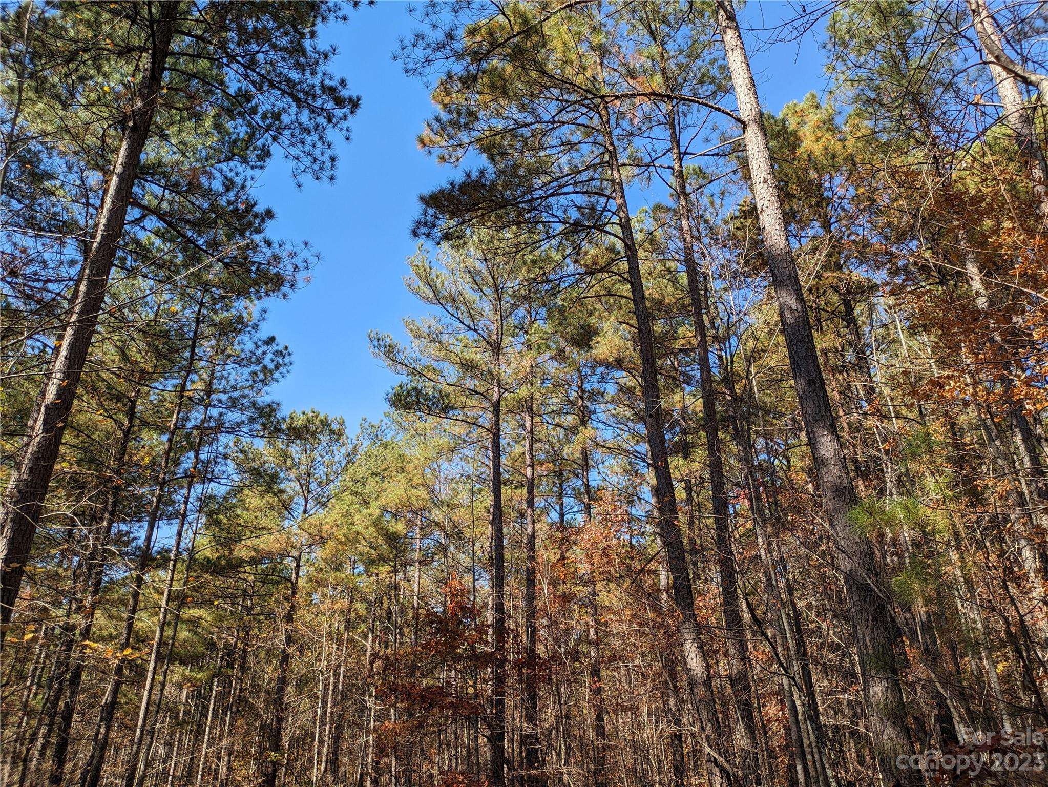 Nebo, NC 28761,Lot 28 Hidden Lake Pkwy