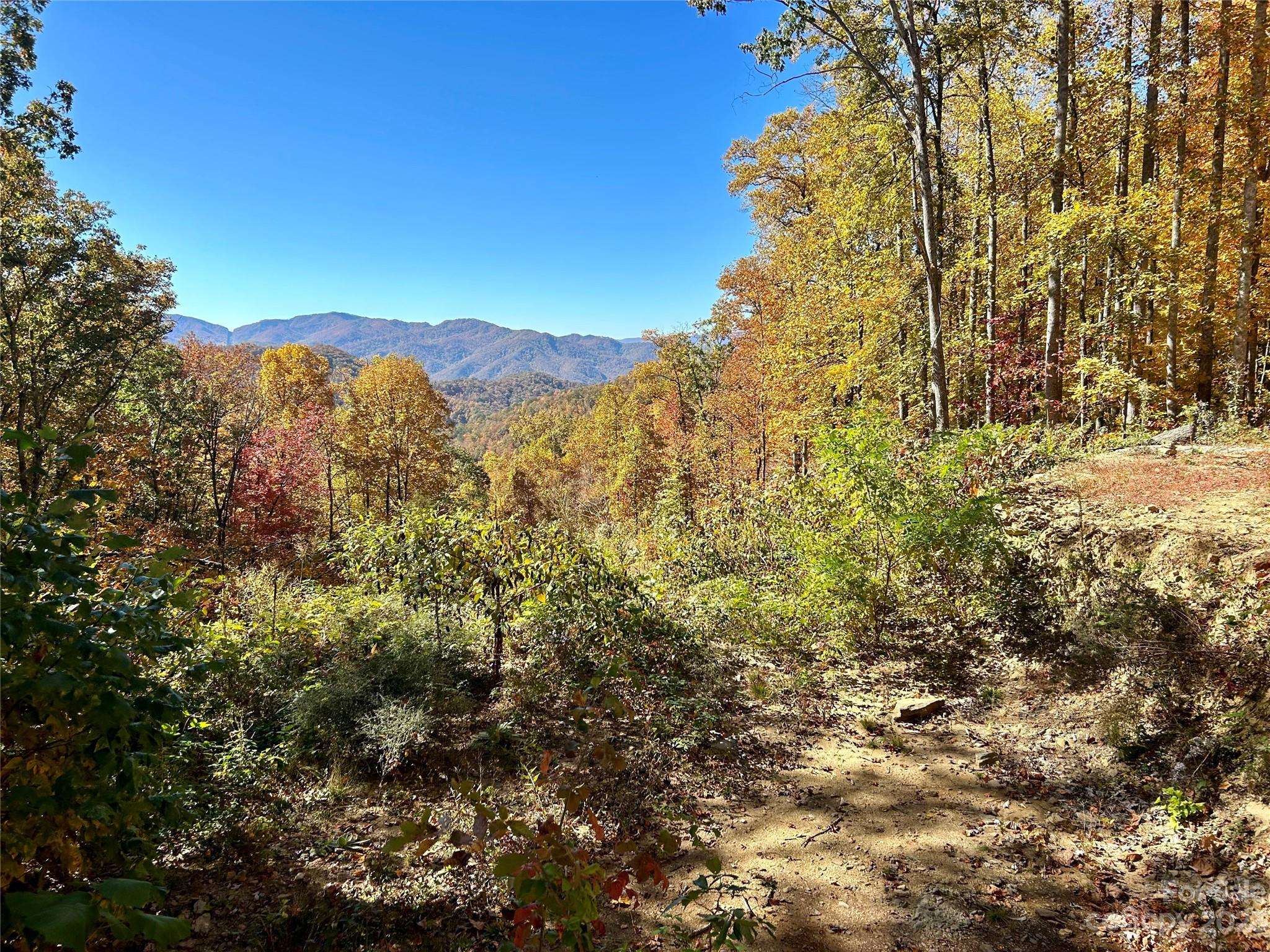 Bryson City, NC 28713,272 Shotgun PATH #45