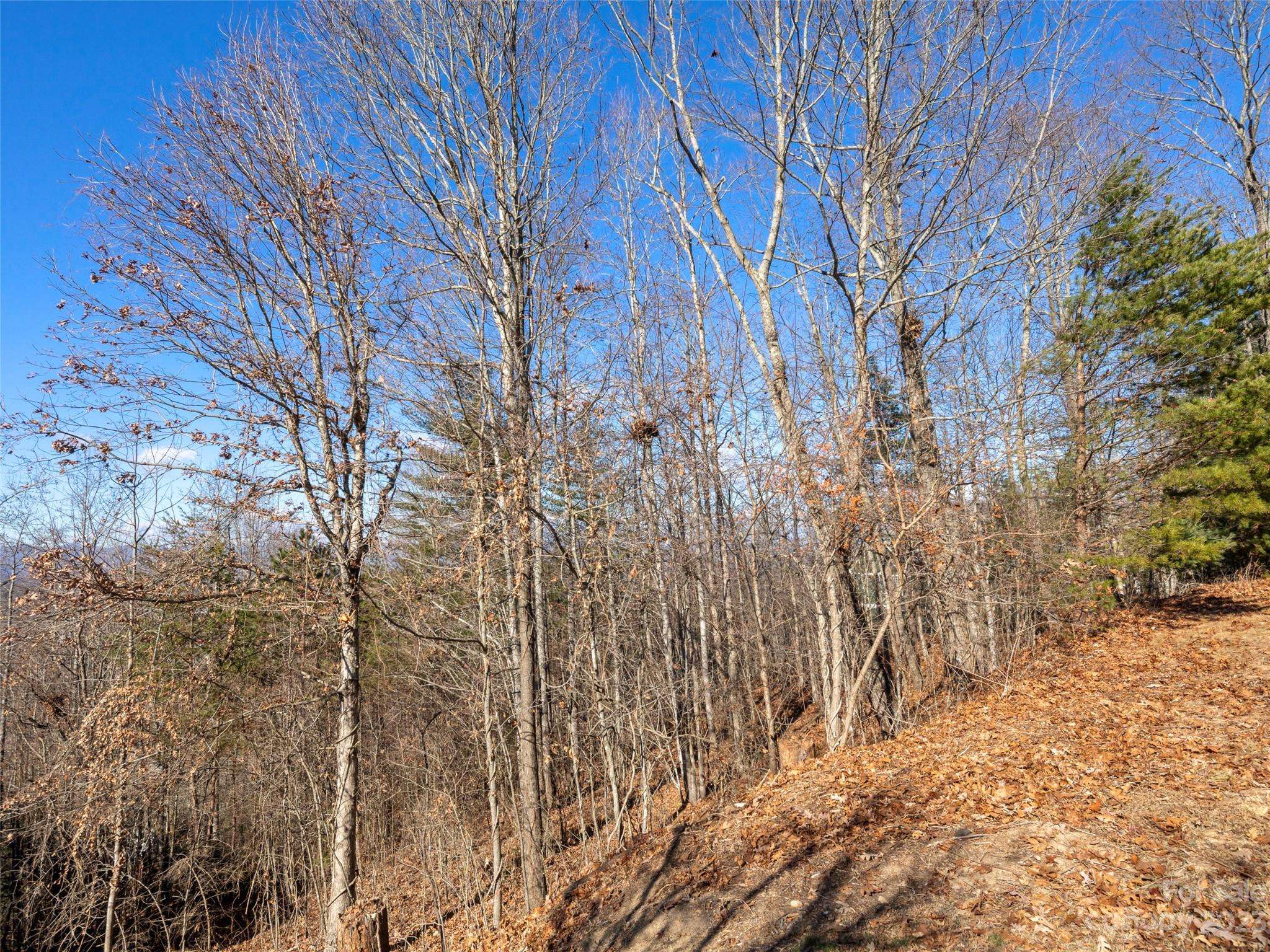 Asheville, NC 28806,34 Chimney Crest DR