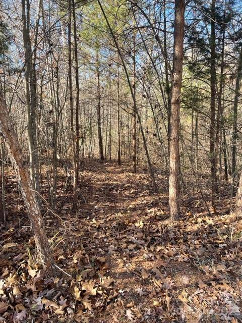 Rutherfordton, NC 28139,0 Holly Forest DR
