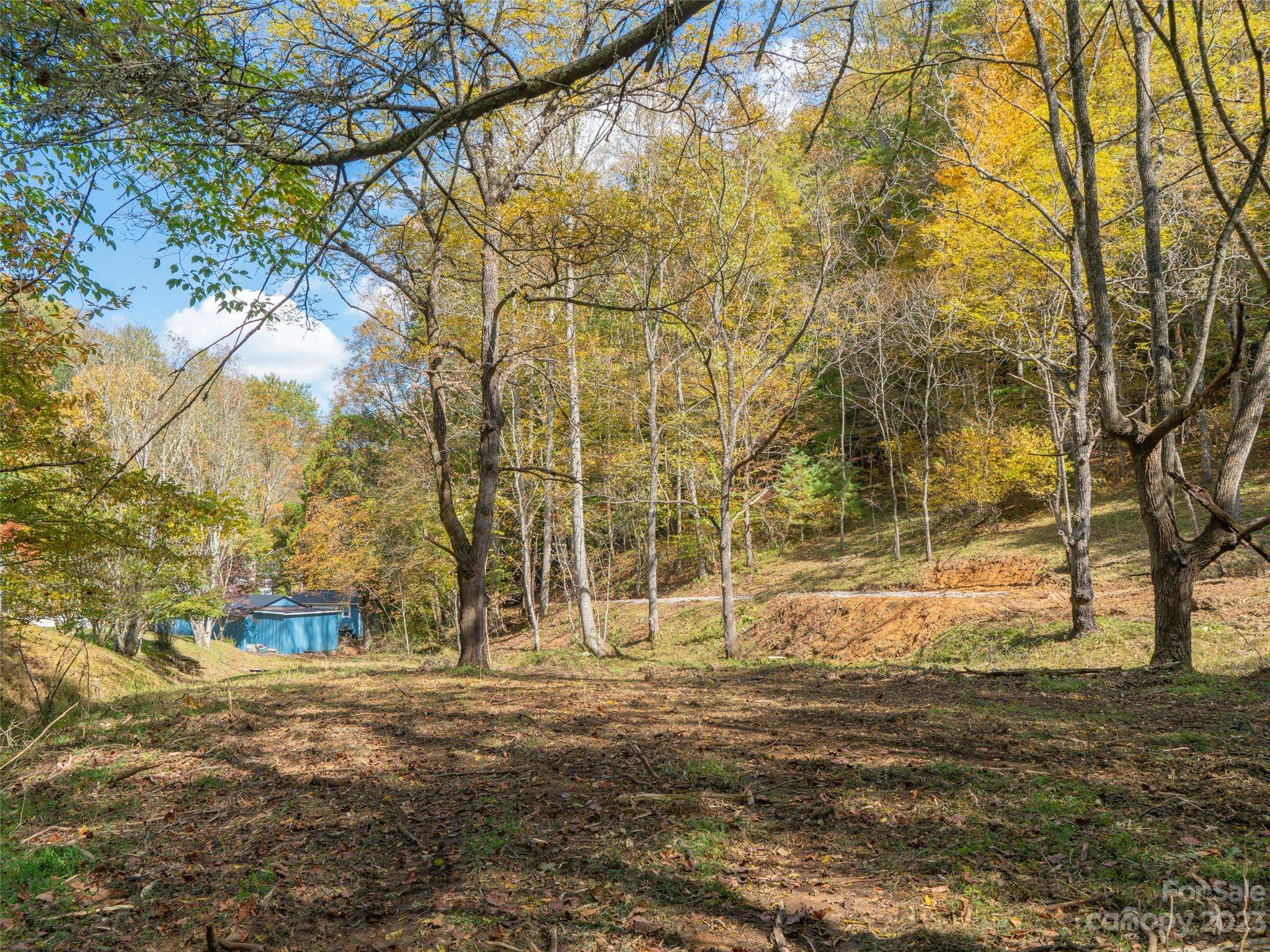 Green Mountain, NC 28740,000 Bennett Branch RD