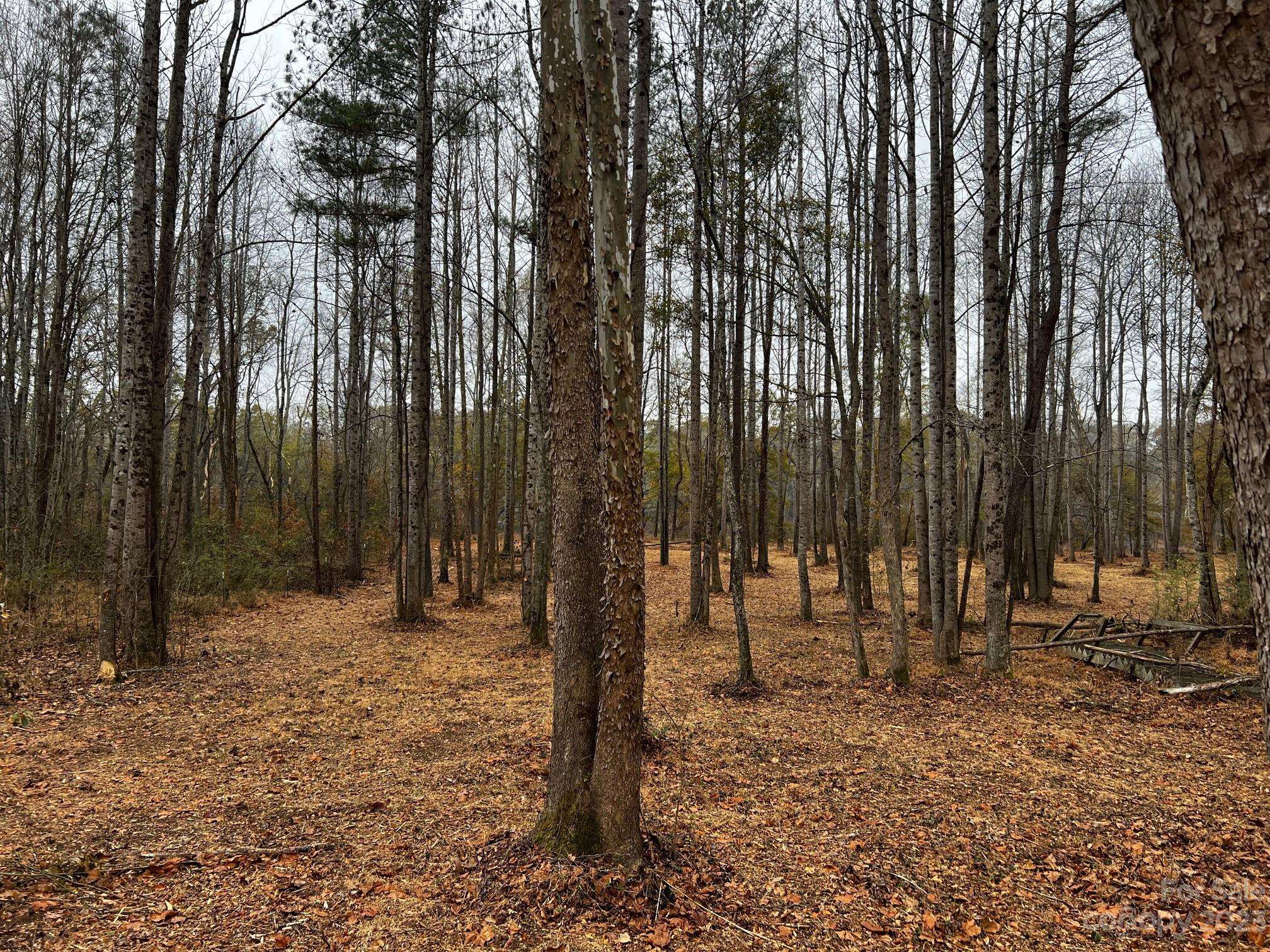Statesville, NC 28625,Lot 156 Lookout Dam RD