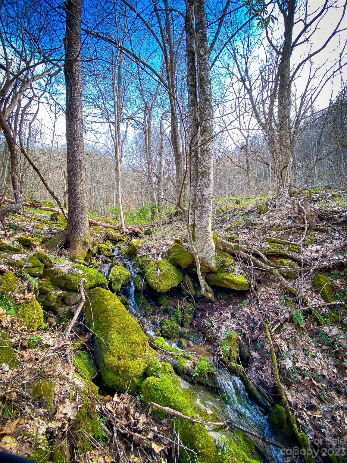 Mars Hill, NC 28754,99999 Metcalf Creek LOOP