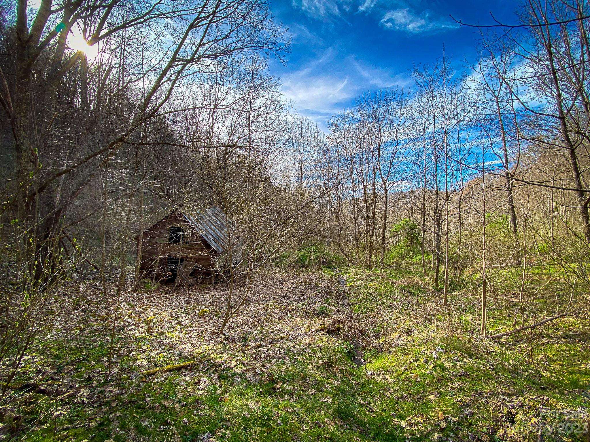 Mars Hill, NC 28754,99999 Metcalf Creek LOOP