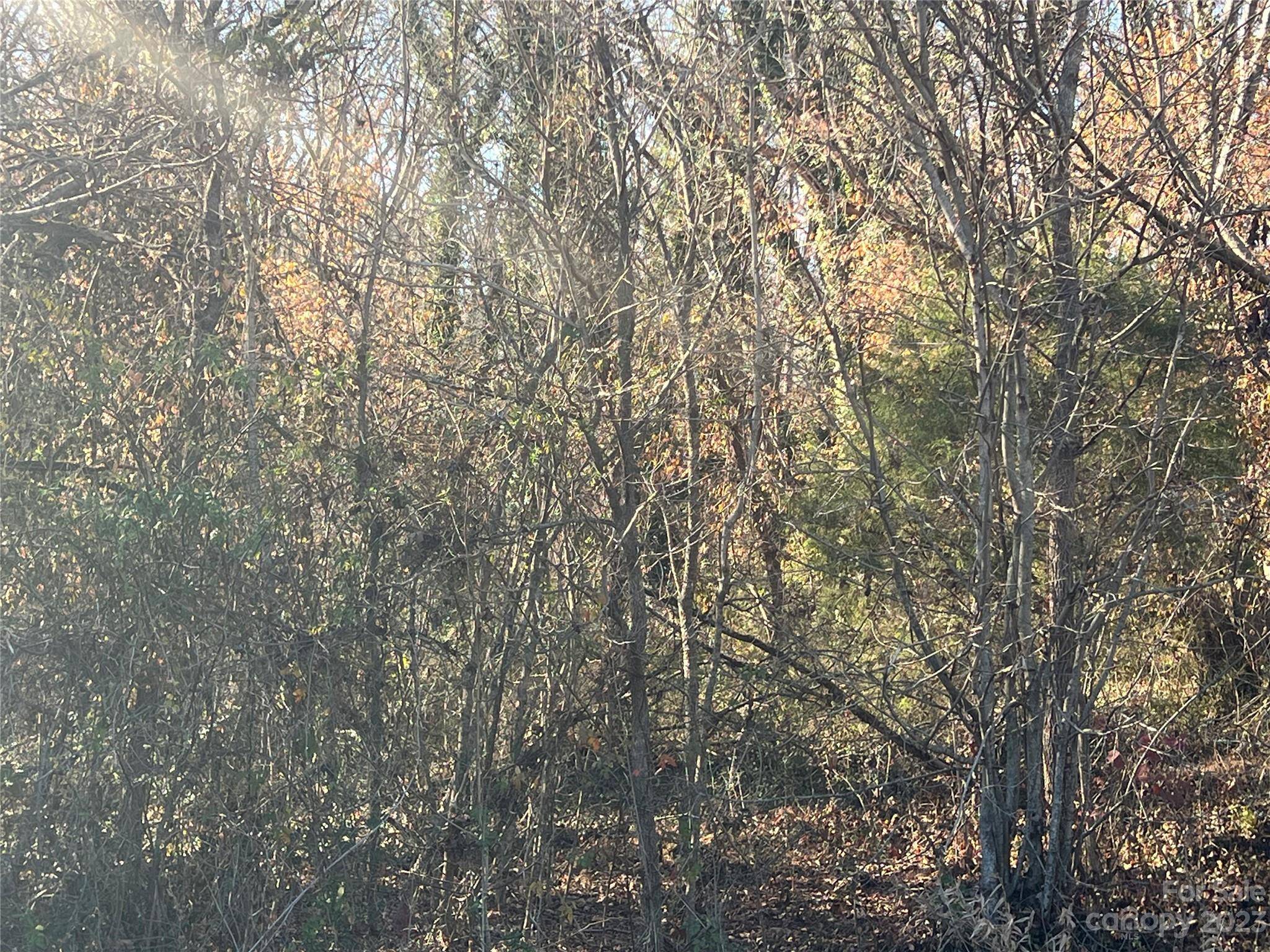 Spencer, NC 28158,0 Hollywood DR