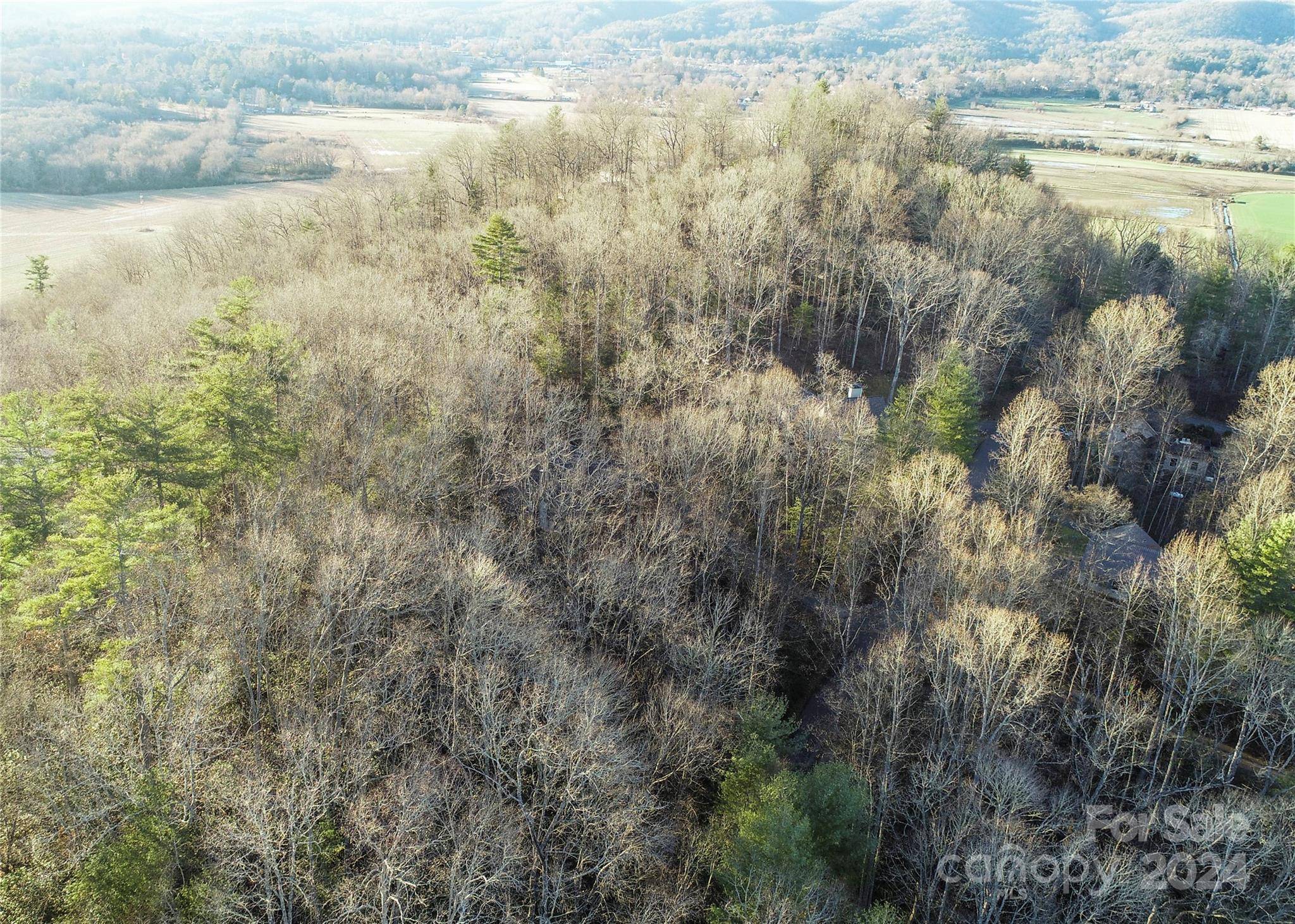 Pisgah Forest, NC 28768,D17 Caroline LN #17