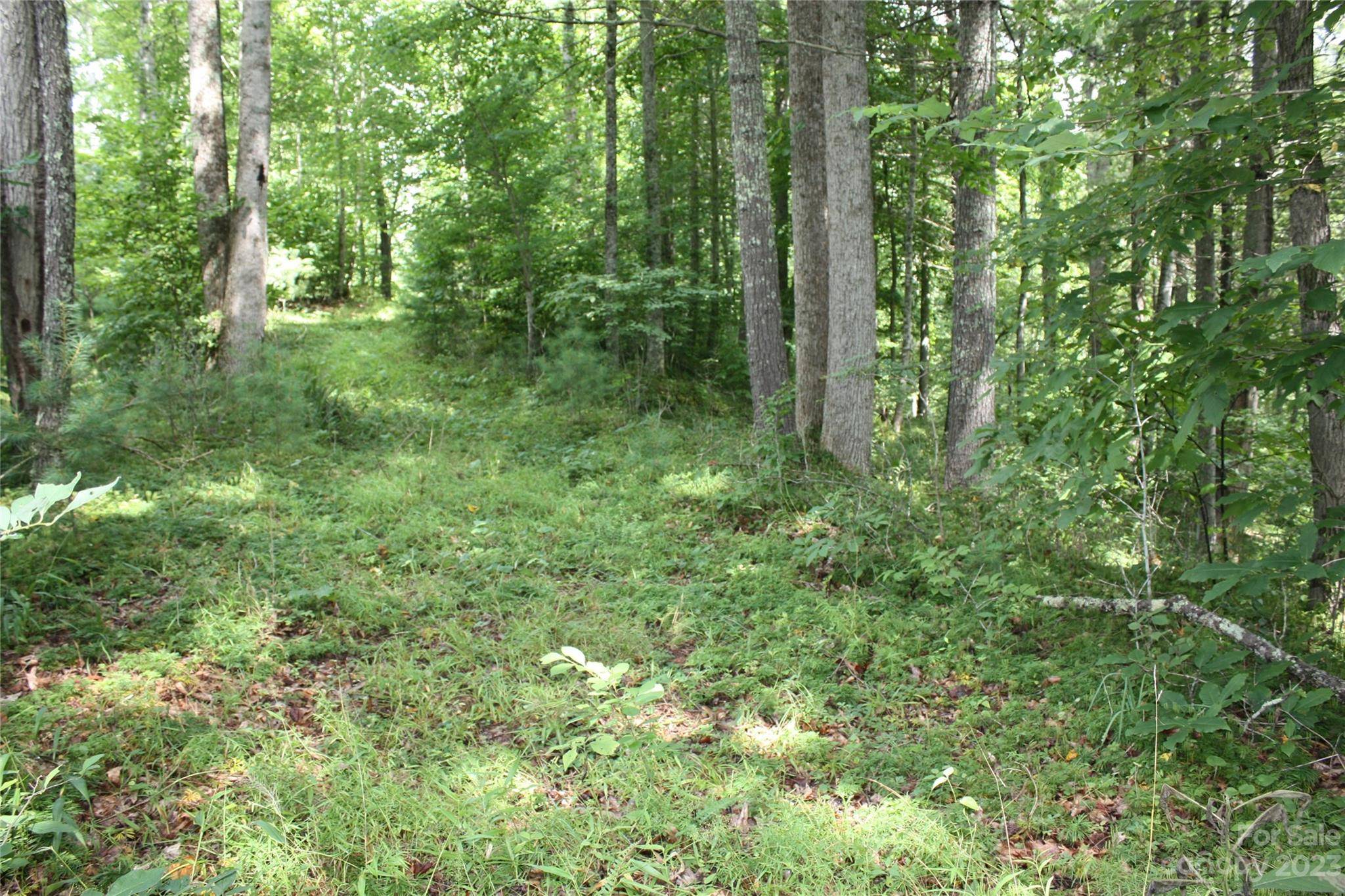 Micaville, NC 28714,0 High Peak DR #37