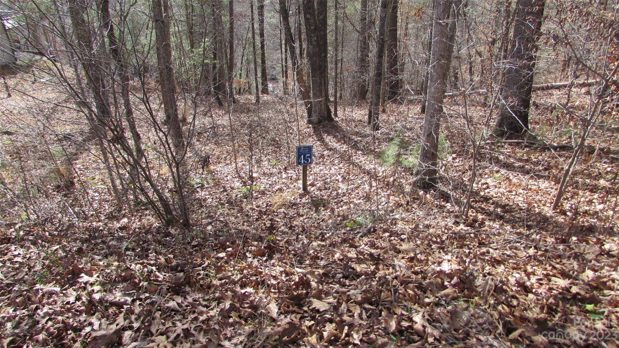 Burnsville, NC 28714,00 High Peak DR #45