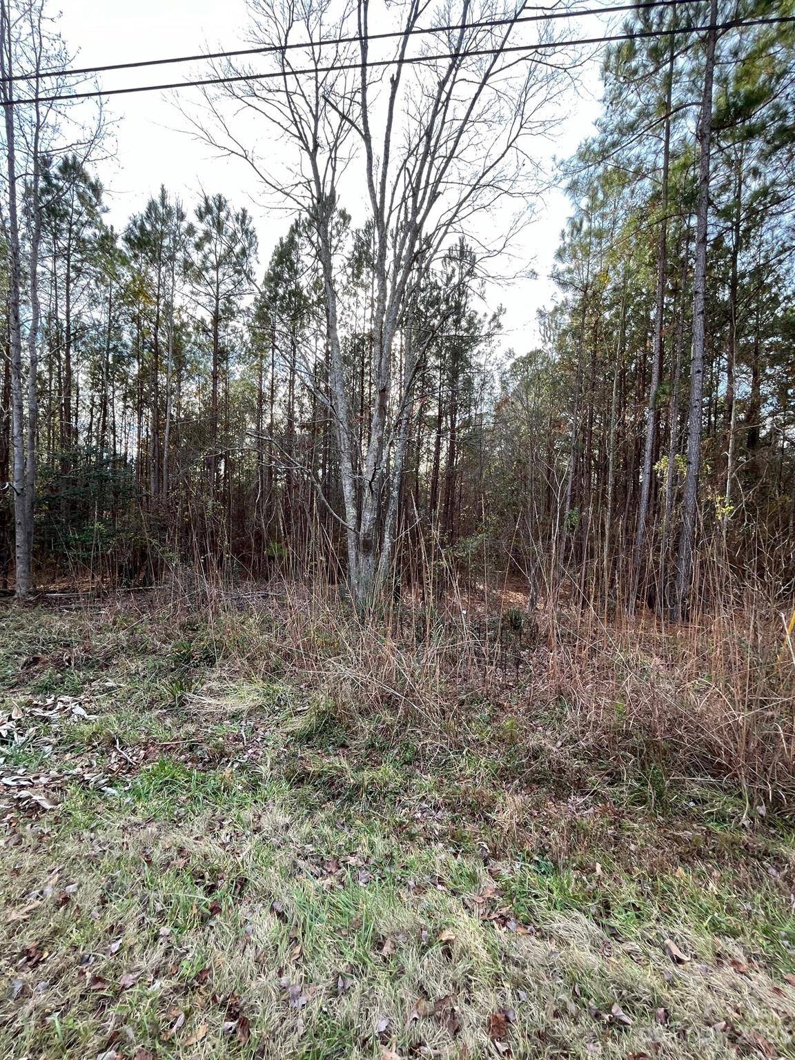 Winnsboro, SC 29180,44 Trade Mill CT