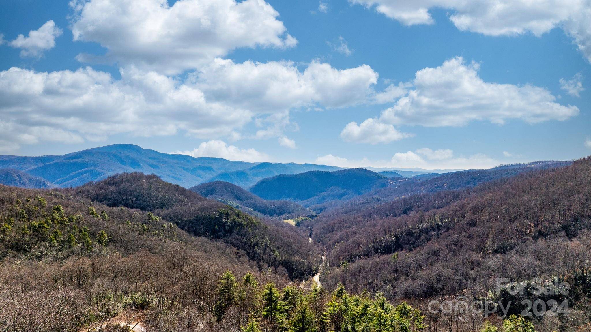 Bat Cave, NC 28710,00000 Mountain Cove RD #2