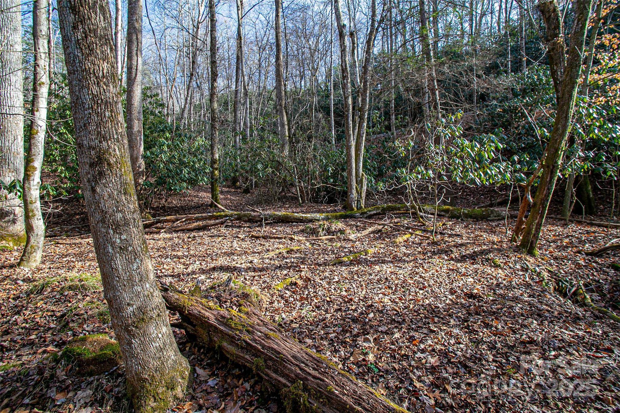 Brevard, NC 28712,TBD Aberdeen LN #654-B