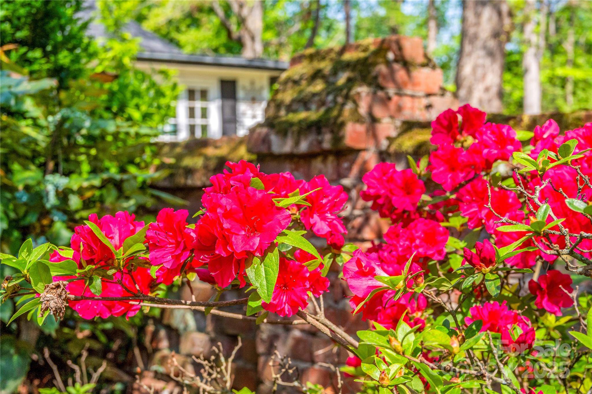Rutherfordton, NC 28139,429 S Ridgecrest AVE