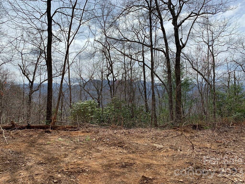 Sylva, NC 28779,46 Still Branch RD