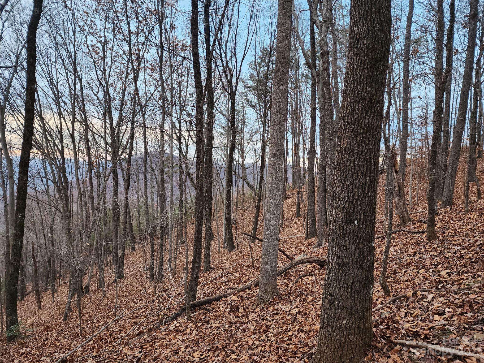 Bostic, NC 28018,22 Mountain Lookout DR