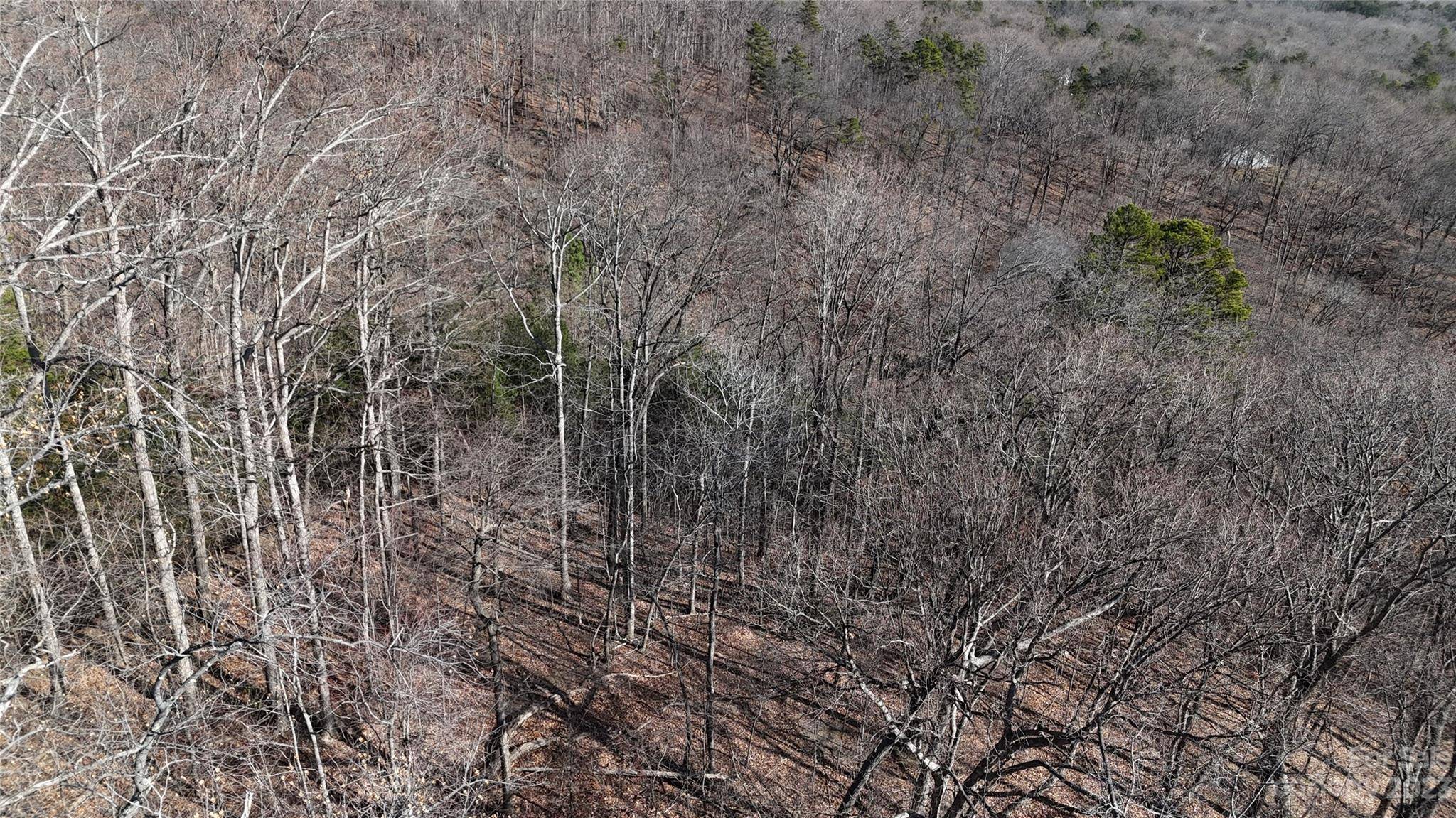 Tryon, NC 28782,28 Acres Rockwood LN