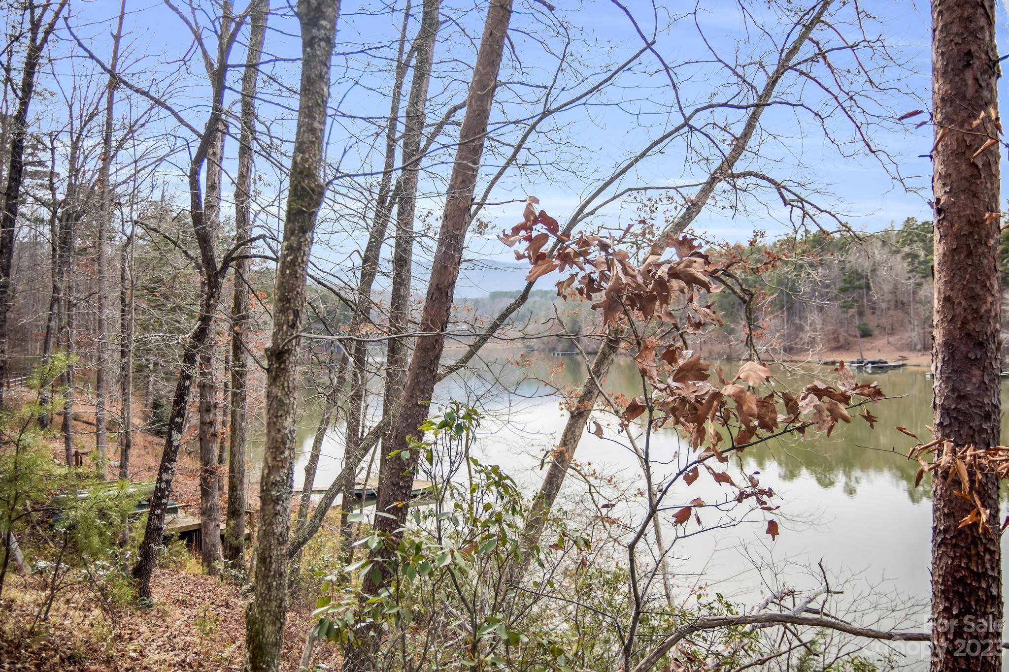 Mill Spring, NC 28756,Lot 4 Parkway North RD #4