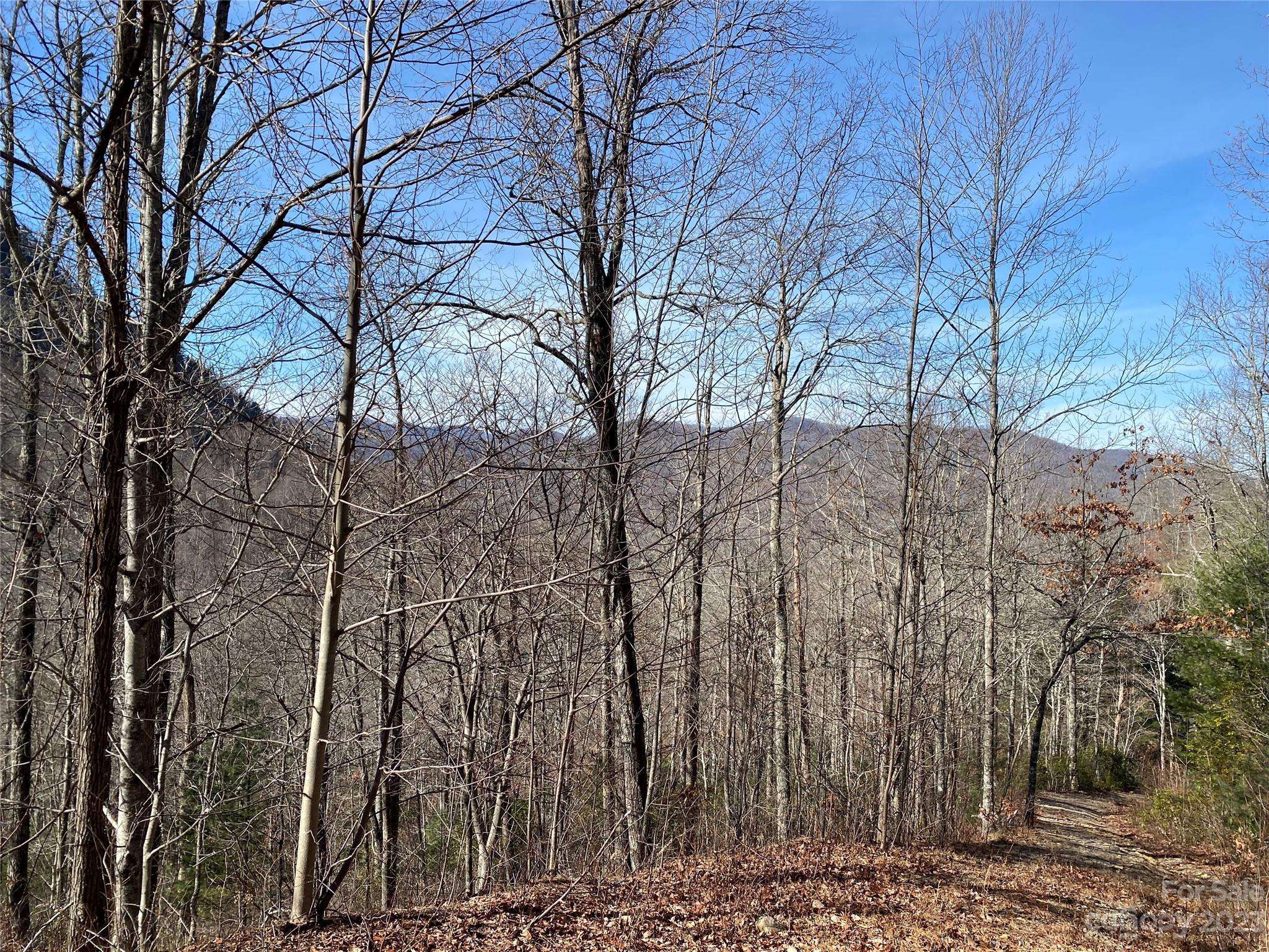 Glenville, NC 28736,Lt 73 Pilot Knob RD