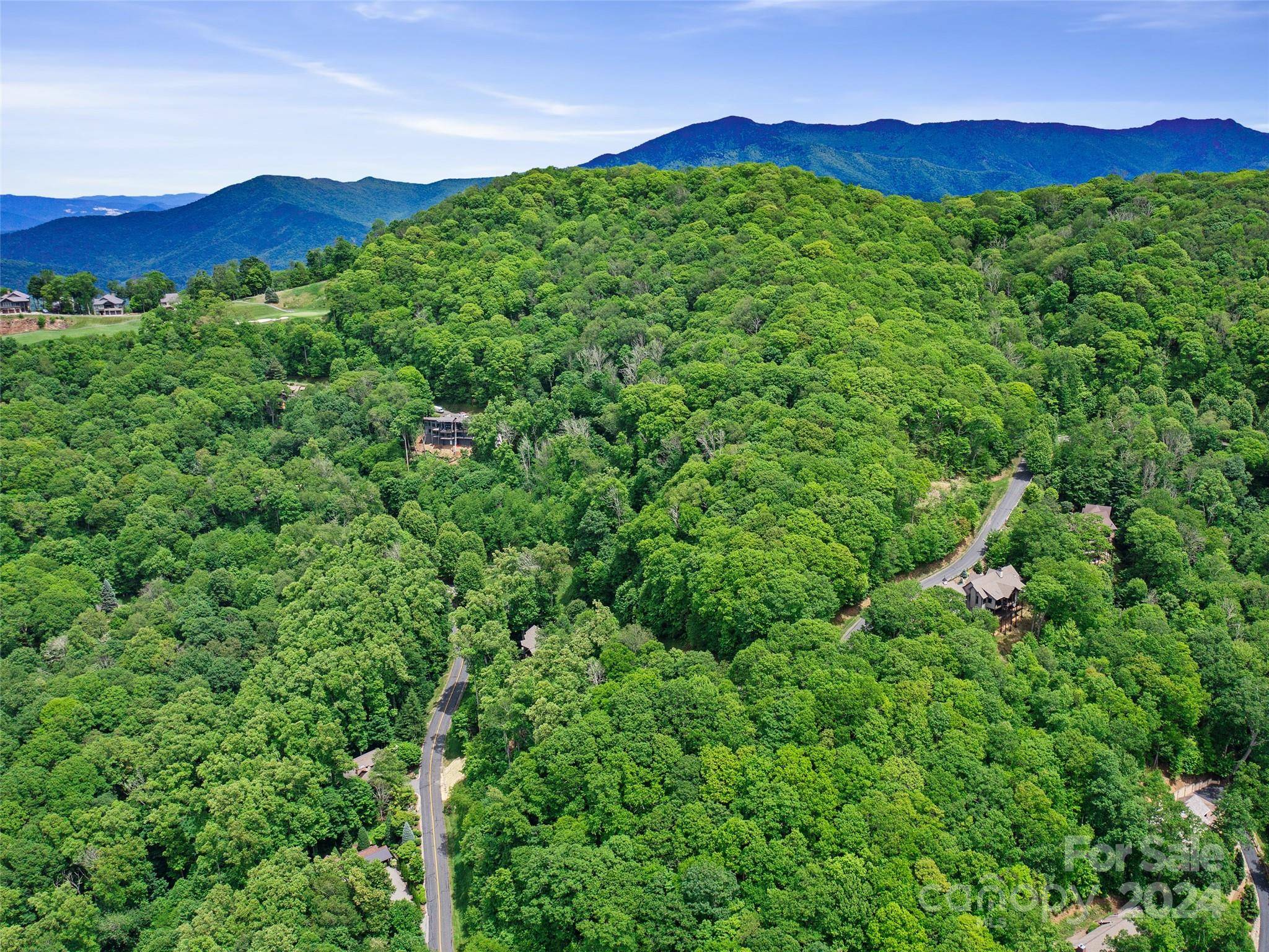 Burnsville, NC 28714,Lot 17 Old Growth Forest RD