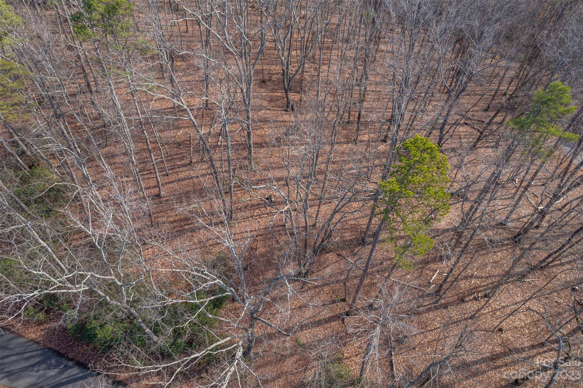 Tryon, NC 28782,Lot 11 Foxwood DR #11