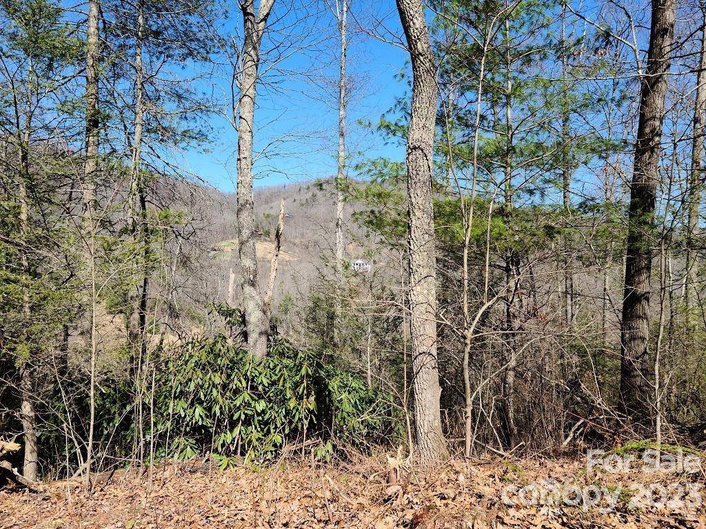 Waynesville, NC 28785,000 Elise WAY #Lot 7