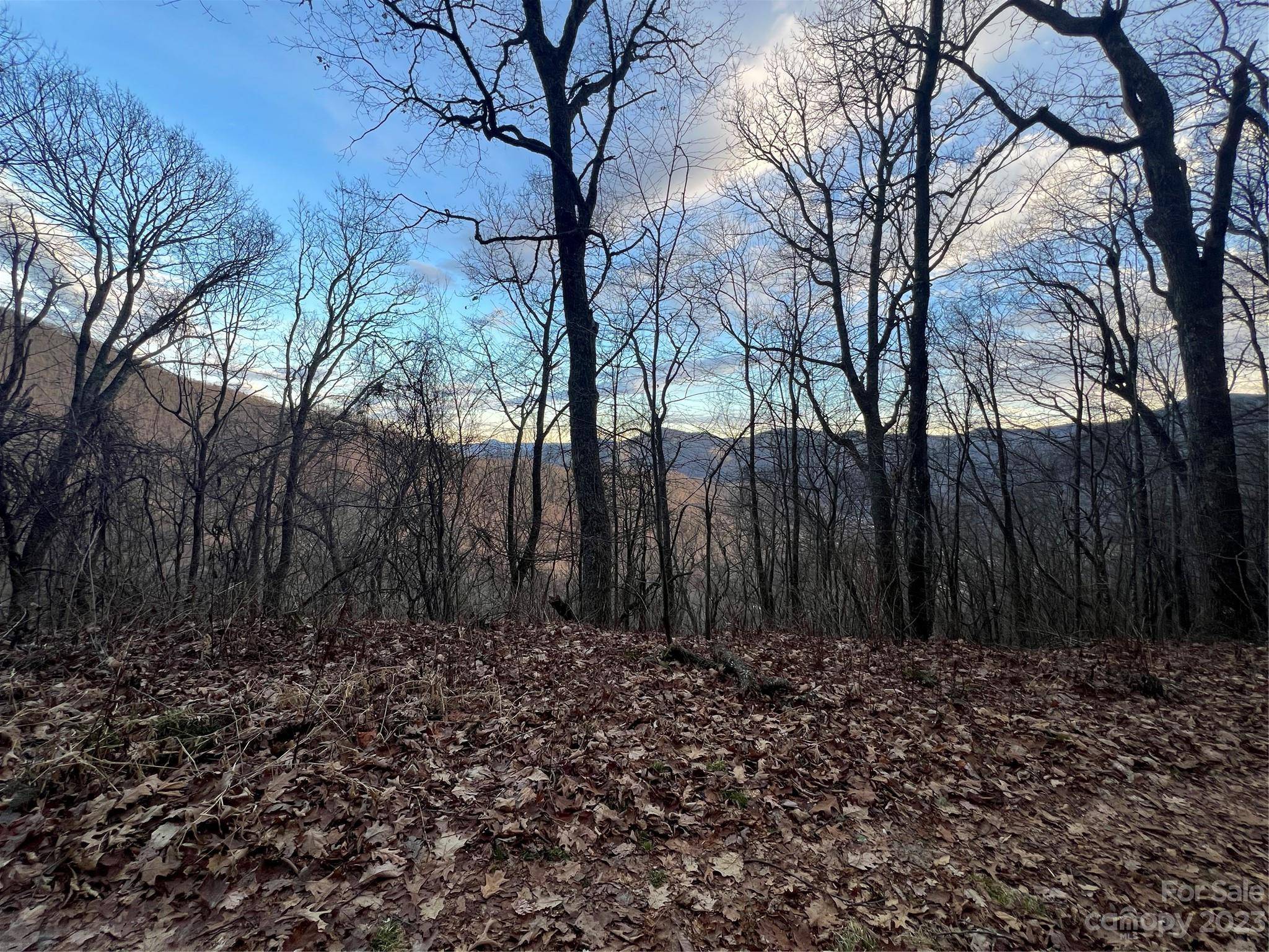 Maggie Valley, NC 28751,Lot 9 Buck Mountain RD #9