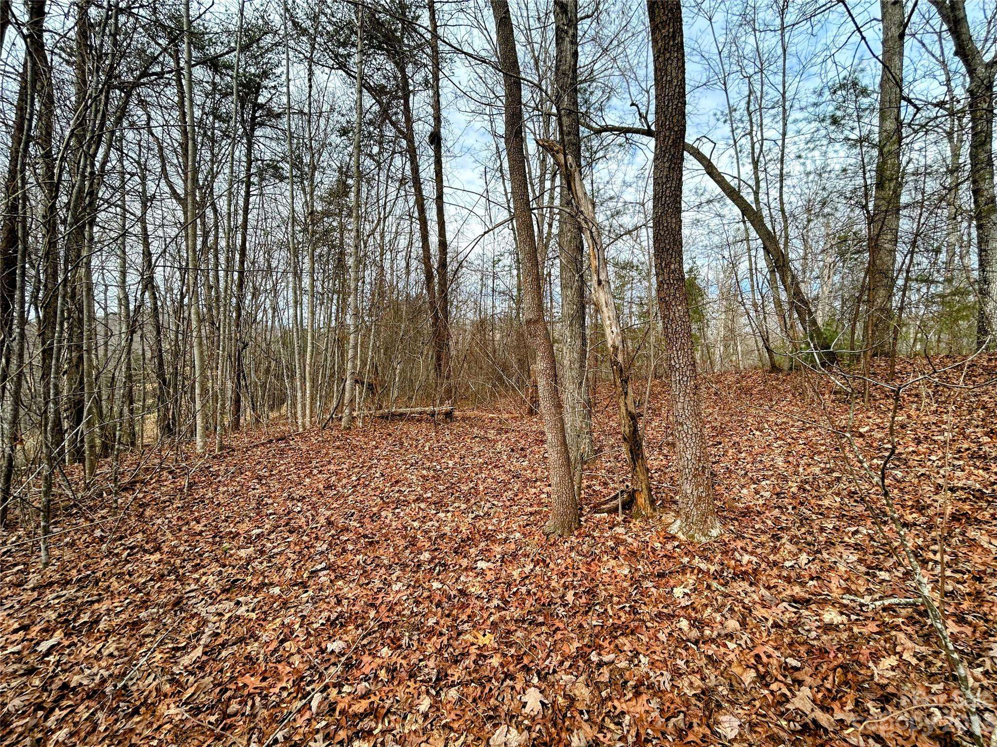 Saluda, NC 28773,Lot 1 Azalea WAY