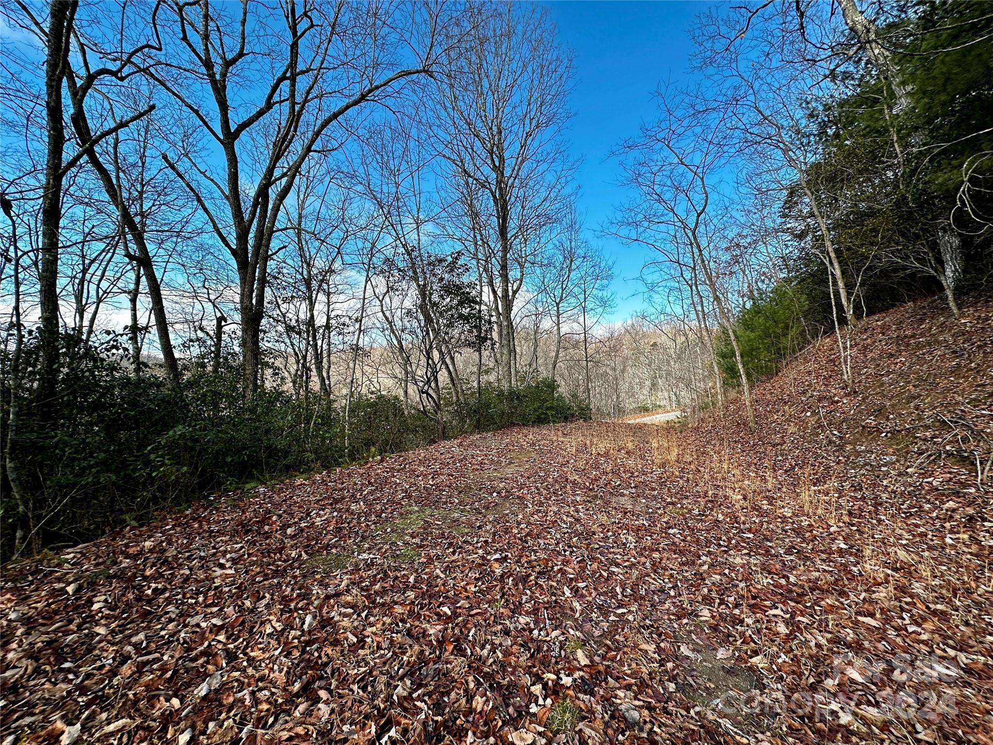 Franklin, NC 28734,Lot 47 N Nickajack RD #47