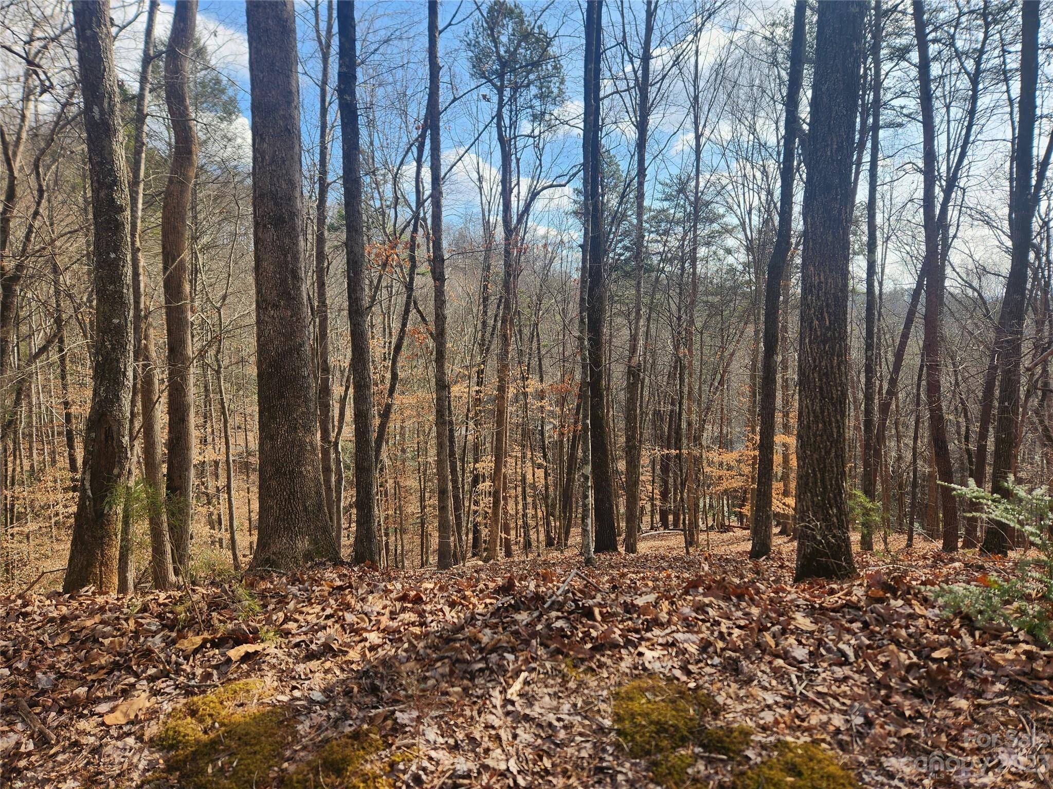 Lake Lure, NC 28746,Lot 83 Walnut LN