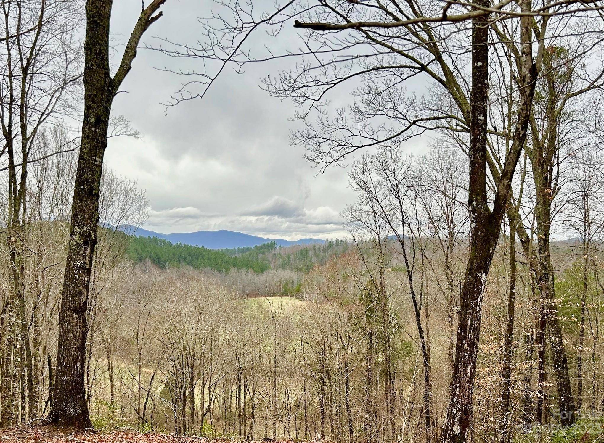 Mill Spring, NC 28756,Lot 6 S Cross Creek TRL