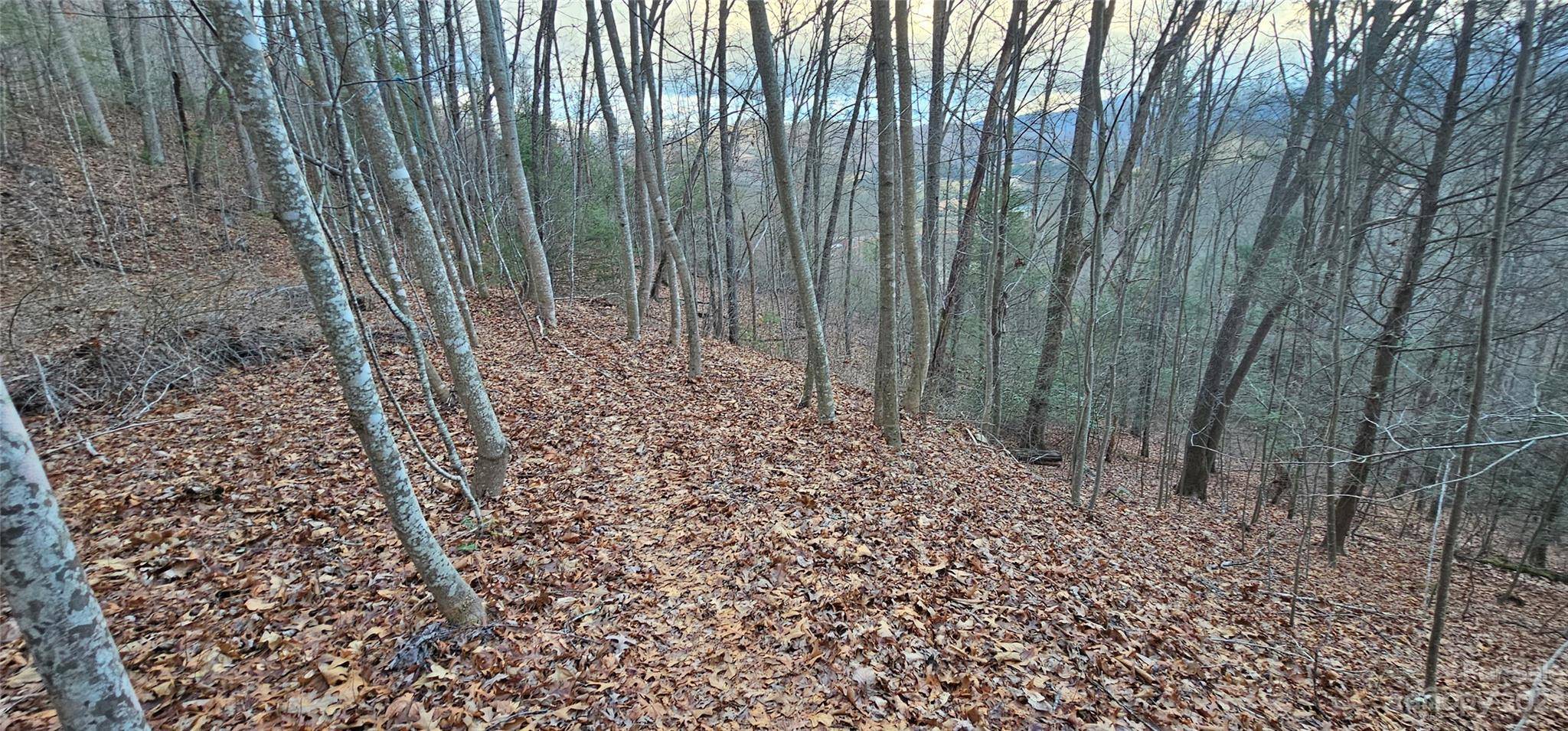 Waynesville, NC 28785,Lot 10 Seay Mountain RD