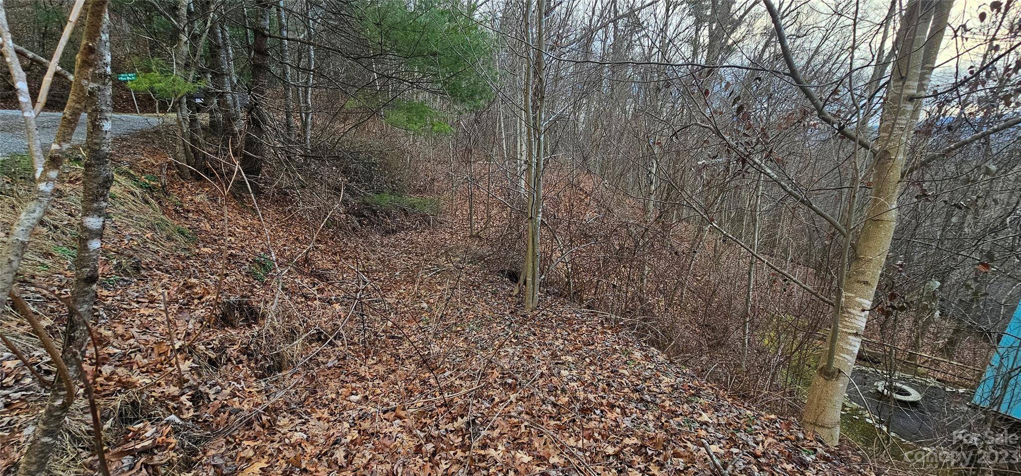 Waynesville, NC 28785,5 Lots Seay Mountain RD