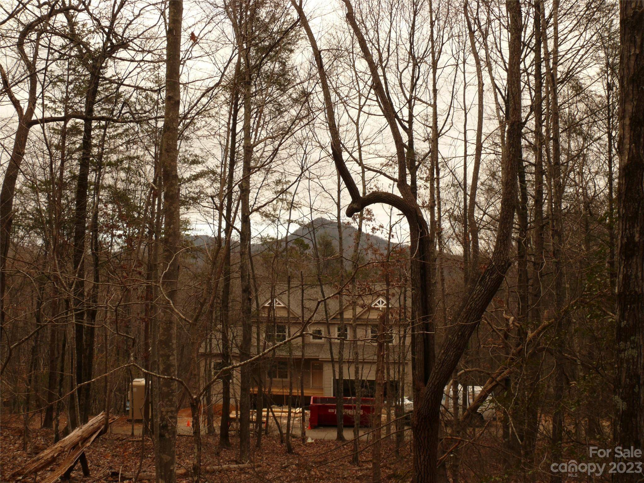 Lake Lure, NC 28746,Lot 275 Hummingbird CT