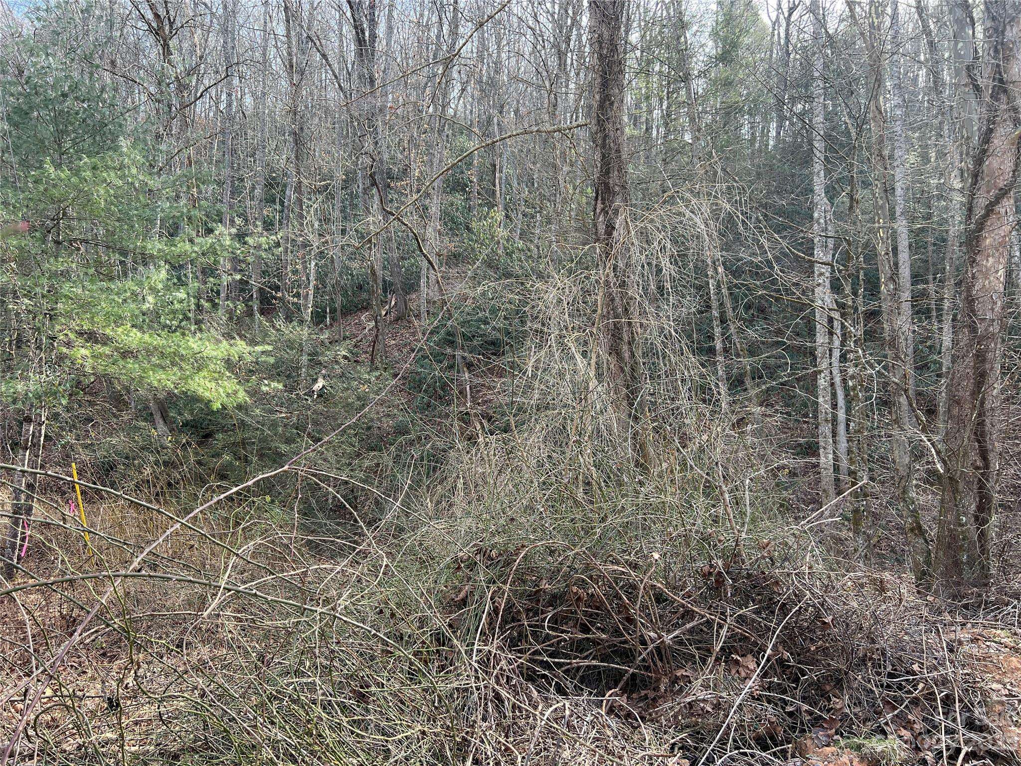 Old Fort, NC 28762,Lot 19 Oakdale Estates DR