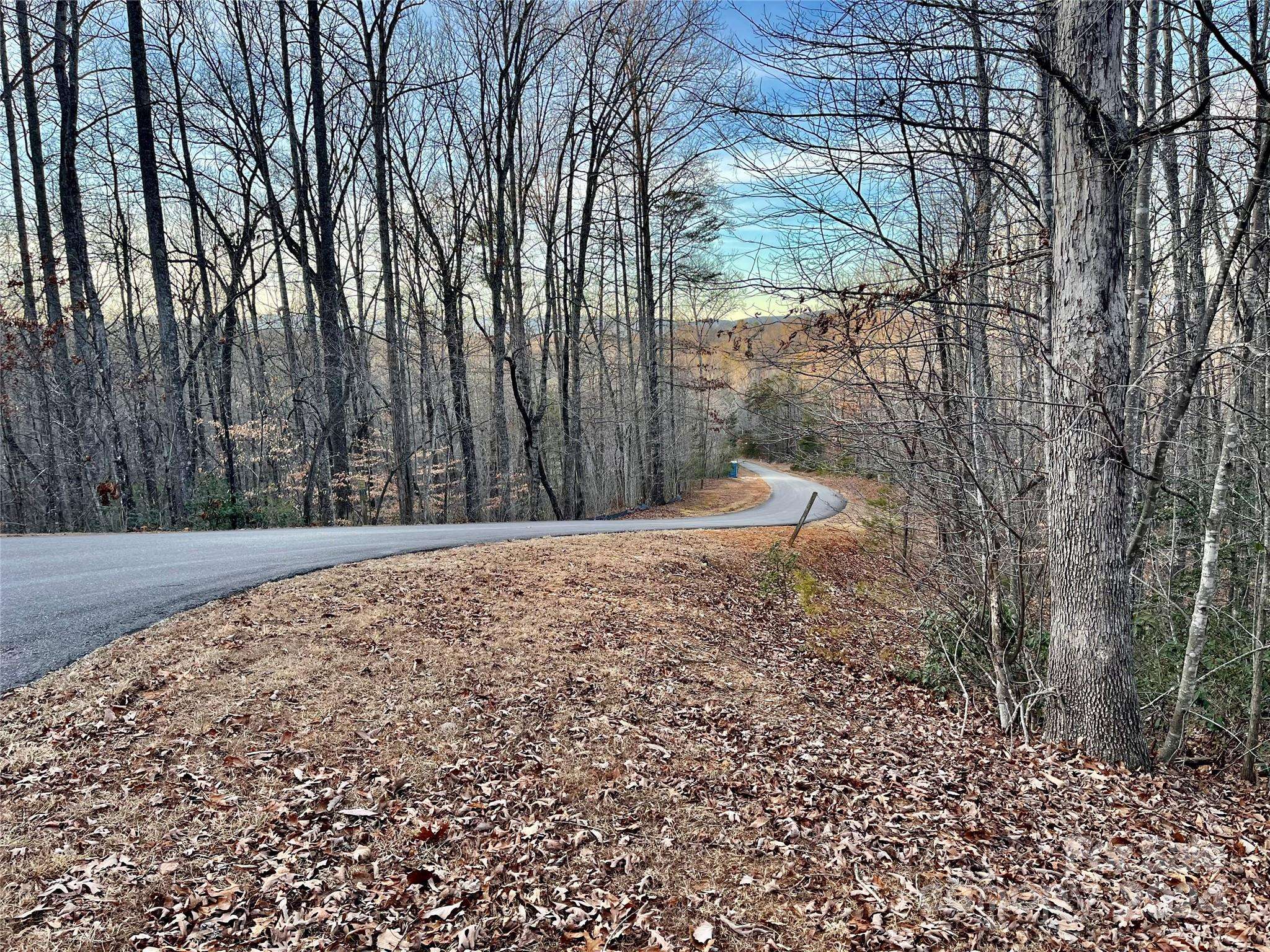 Marion, NC 28752,Lot 79 Big Branch DR