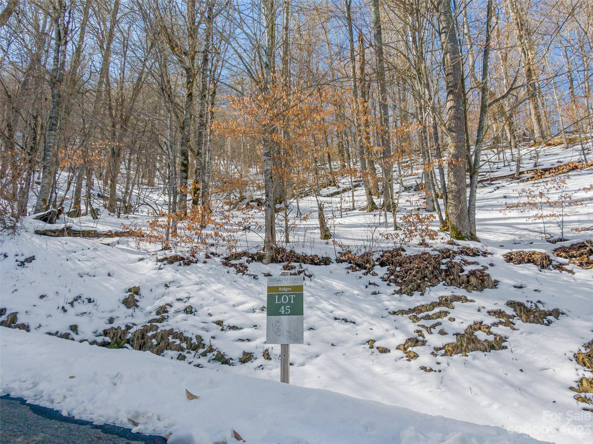 Mars Hill, NC 28754,Lot 45 Black Bear RUN