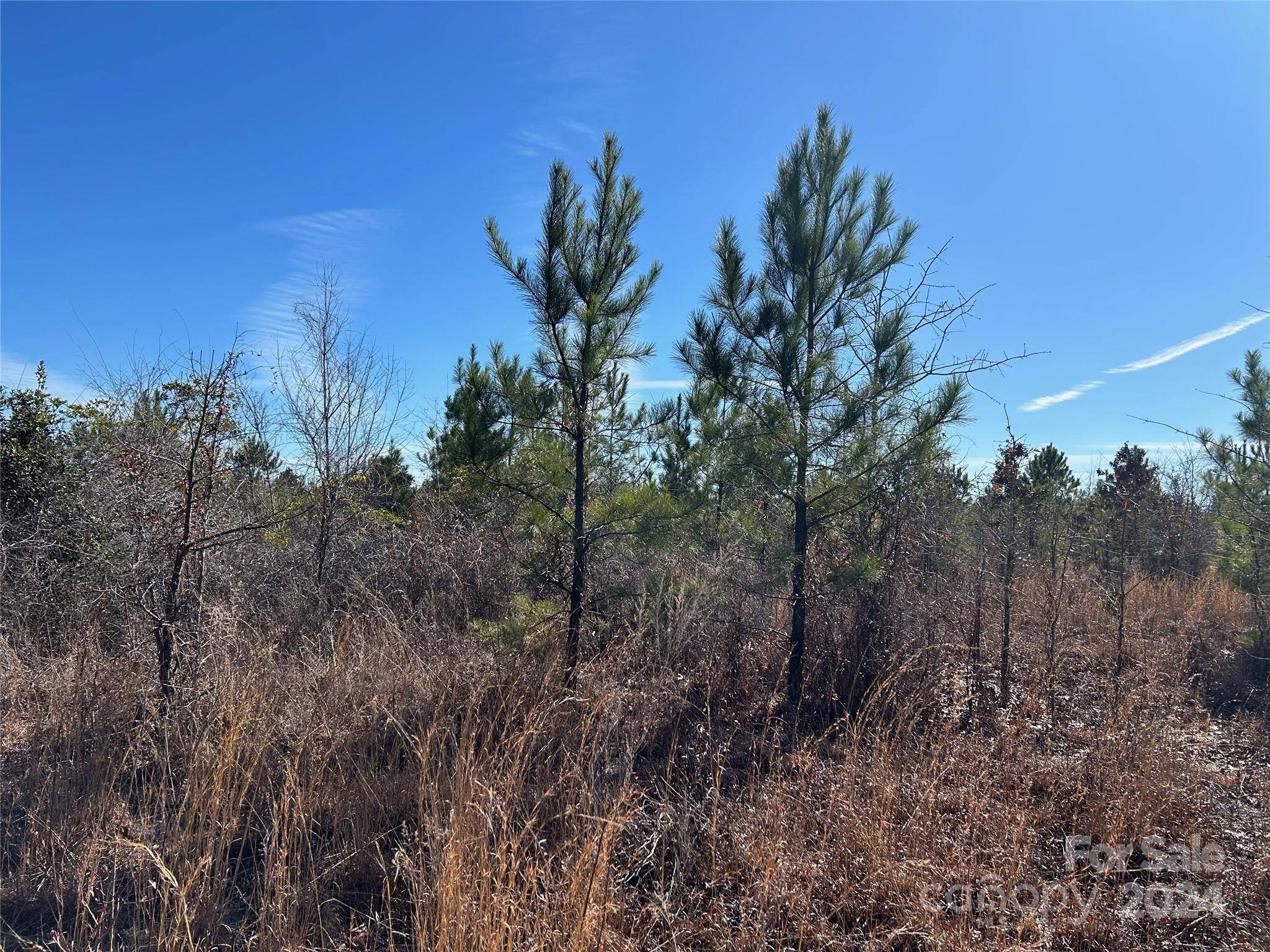 Kershaw, SC 29067,5 AC Catawba RD