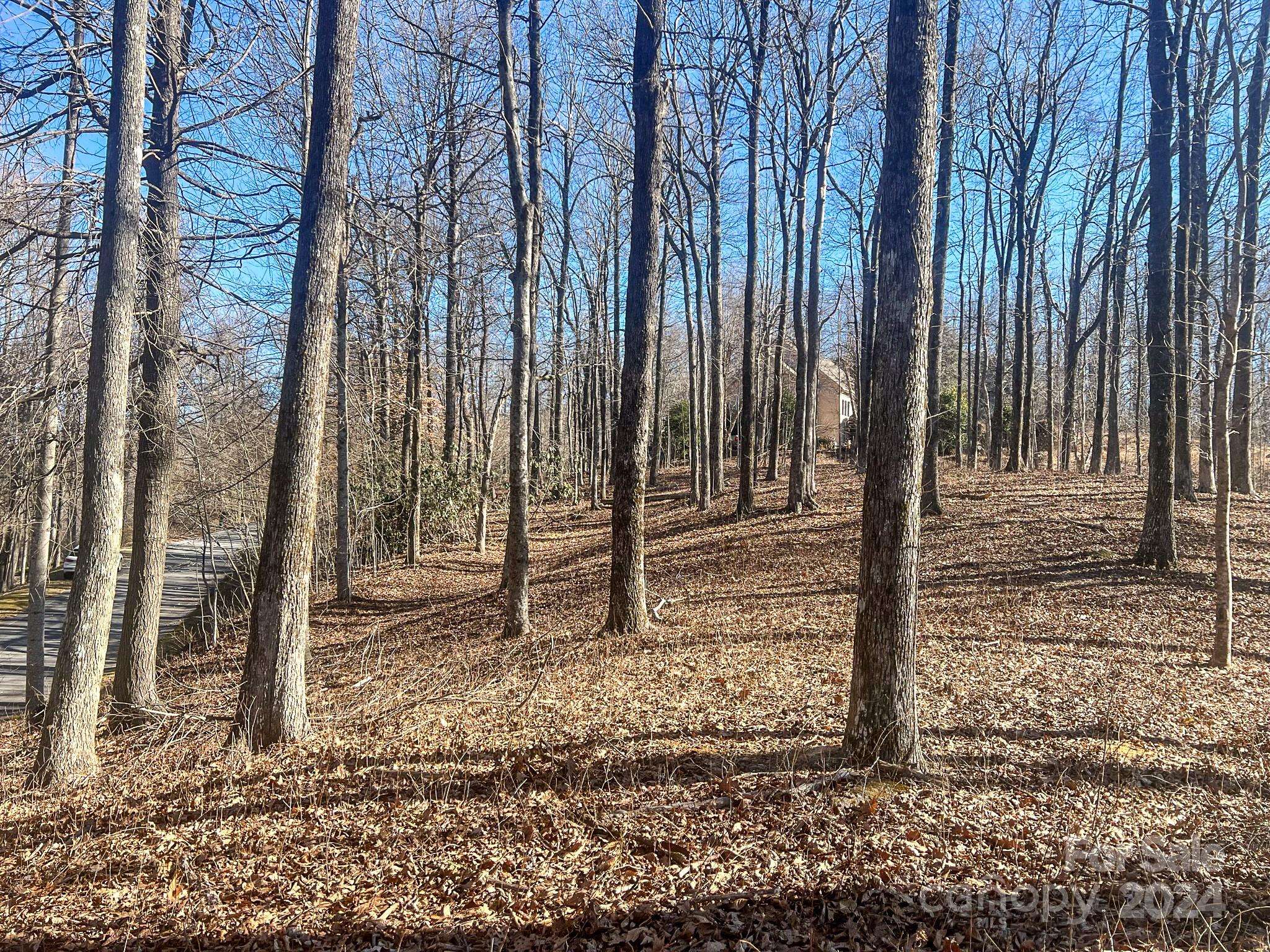Zirconia, NC 28790,135 Corbin Mountain RD #85
